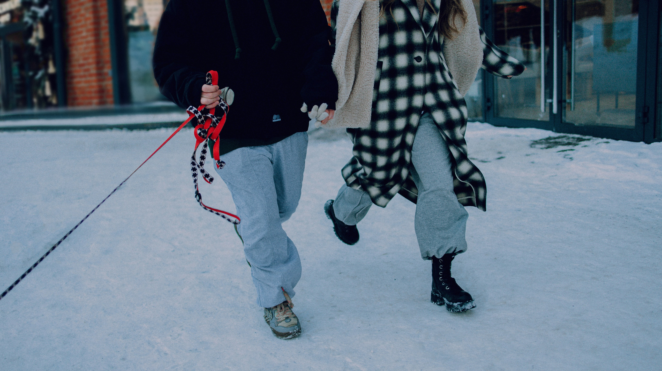 Люба, Никита и Бахати. Фотограф-анималист Богданова Полина