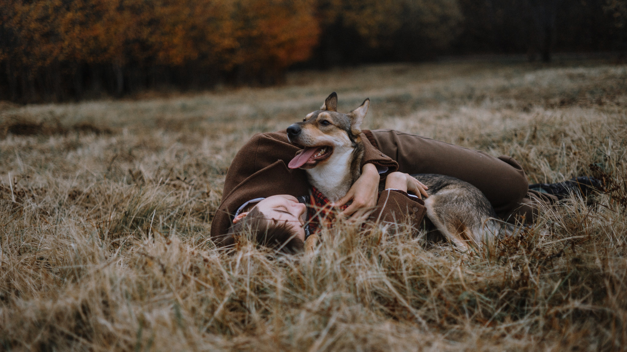 Маша, Катя, Астрид и Мася. Фотограф-анималист Богданова Полина