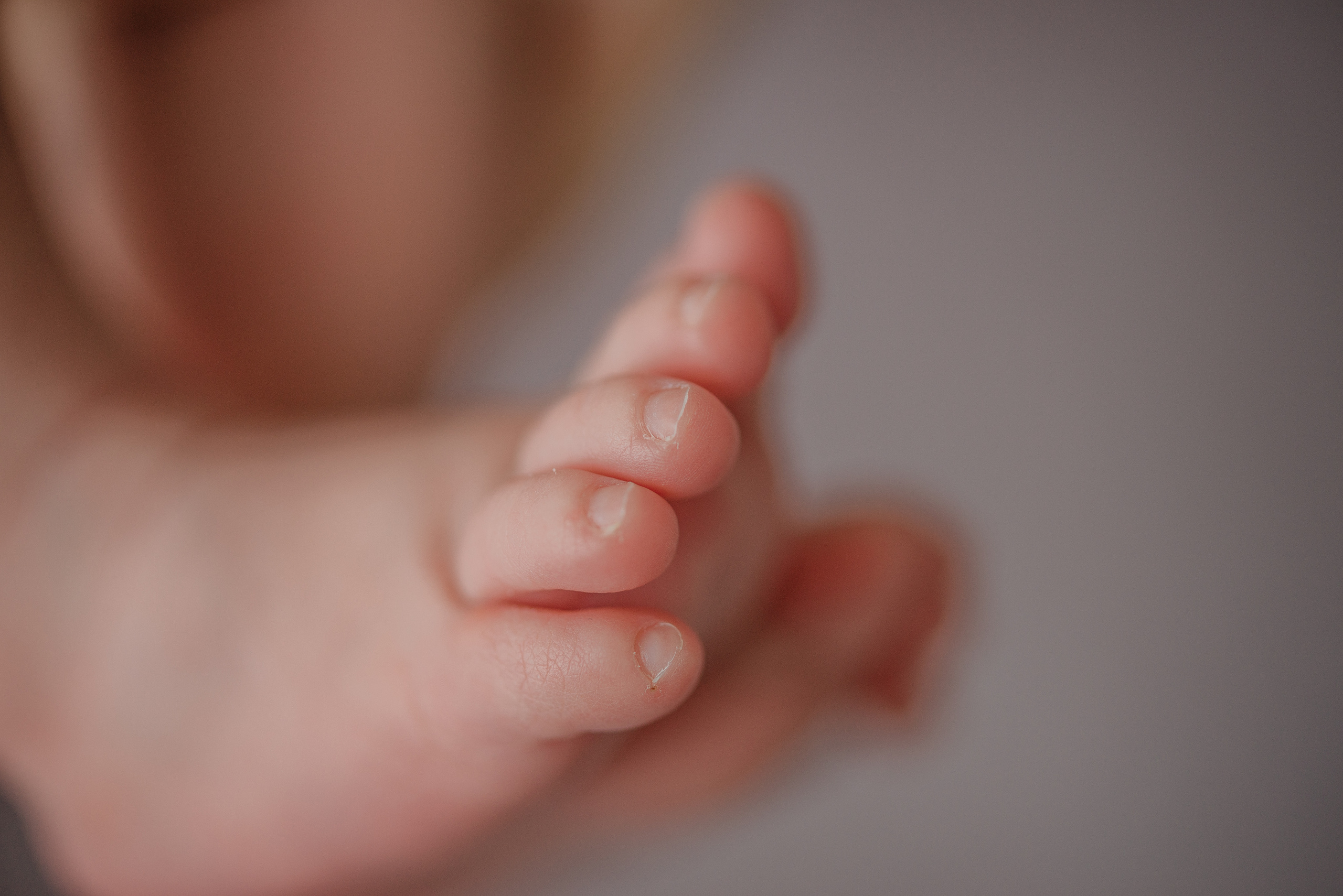 Василиса. Фотограф новорожденных Белгород