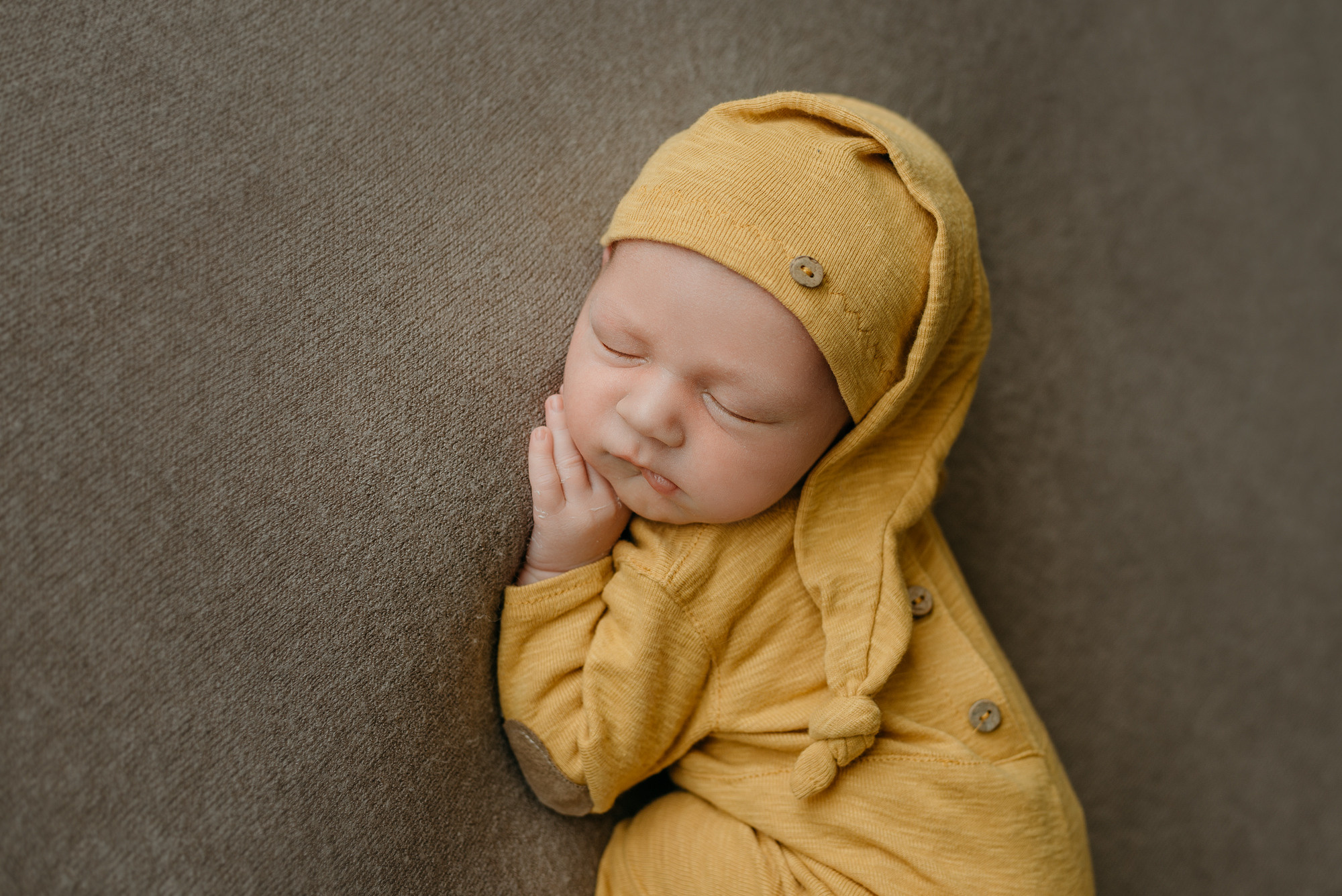 Лев. Фотограф новорожденных Белгород