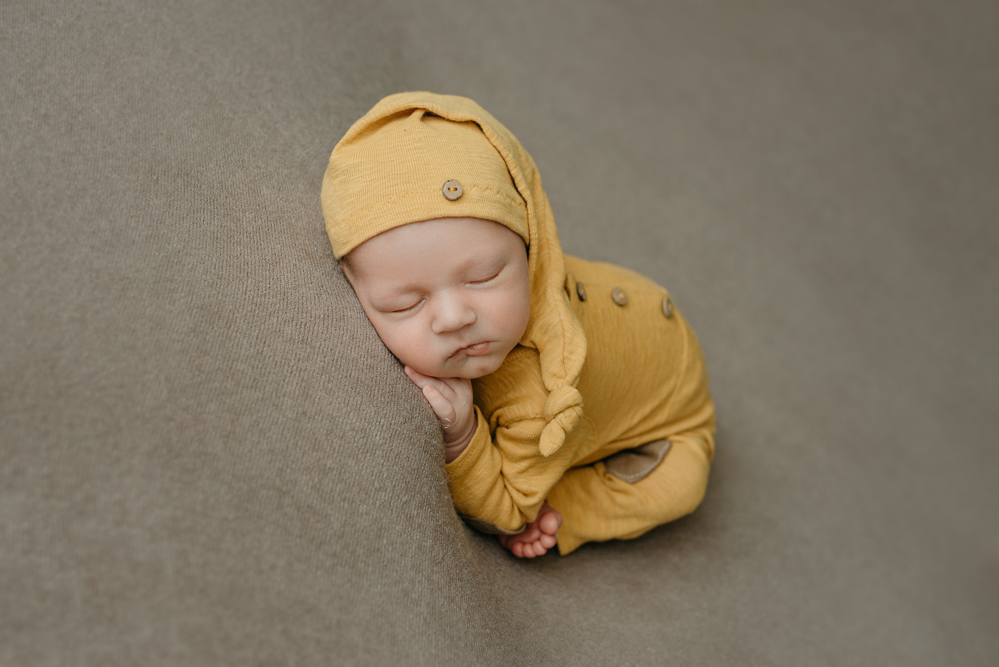 Лев. Фотограф новорожденных Белгород