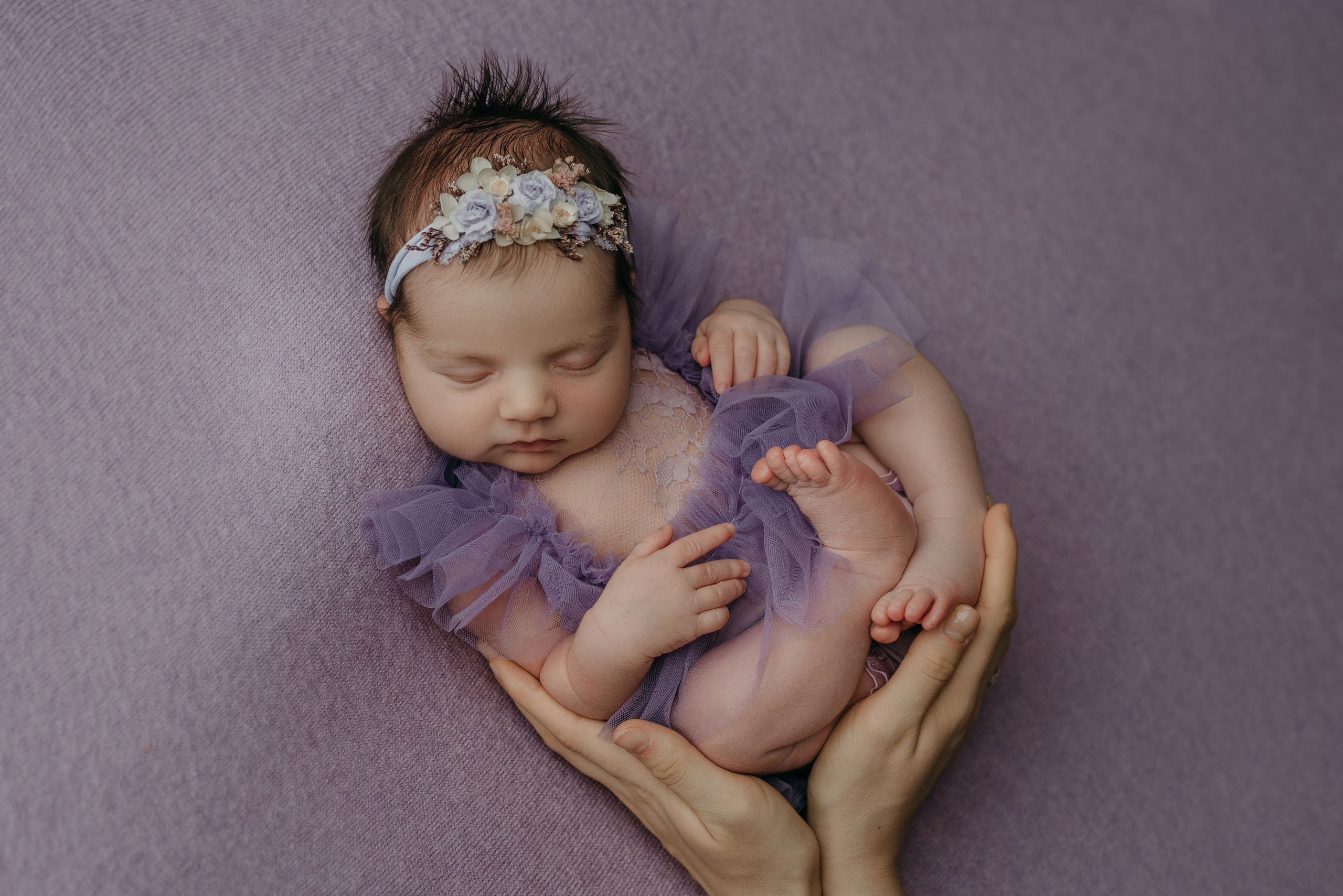 Эмили. Фотограф новорожденных Белгород