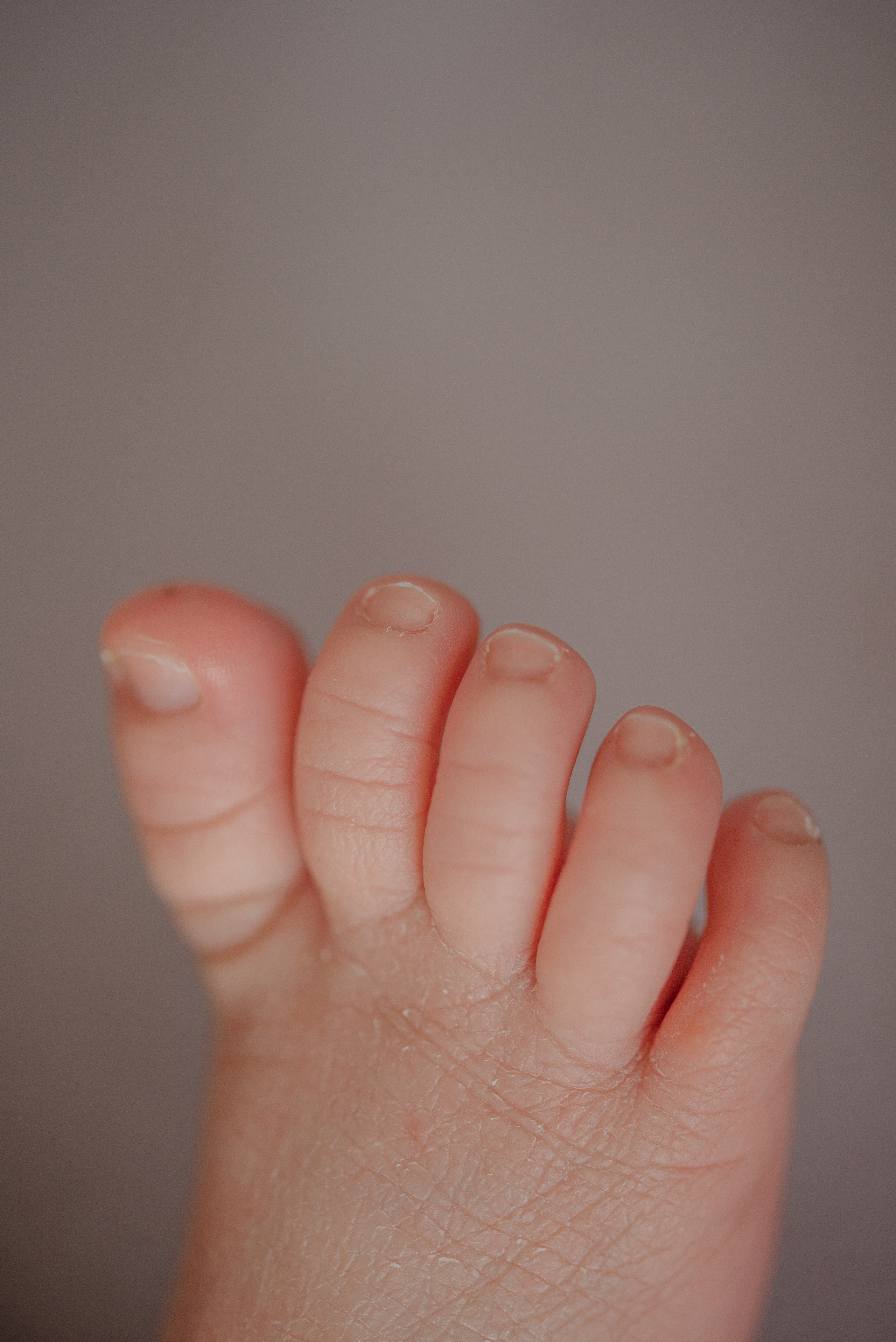 Василиса. Фотограф новорожденных Белгород