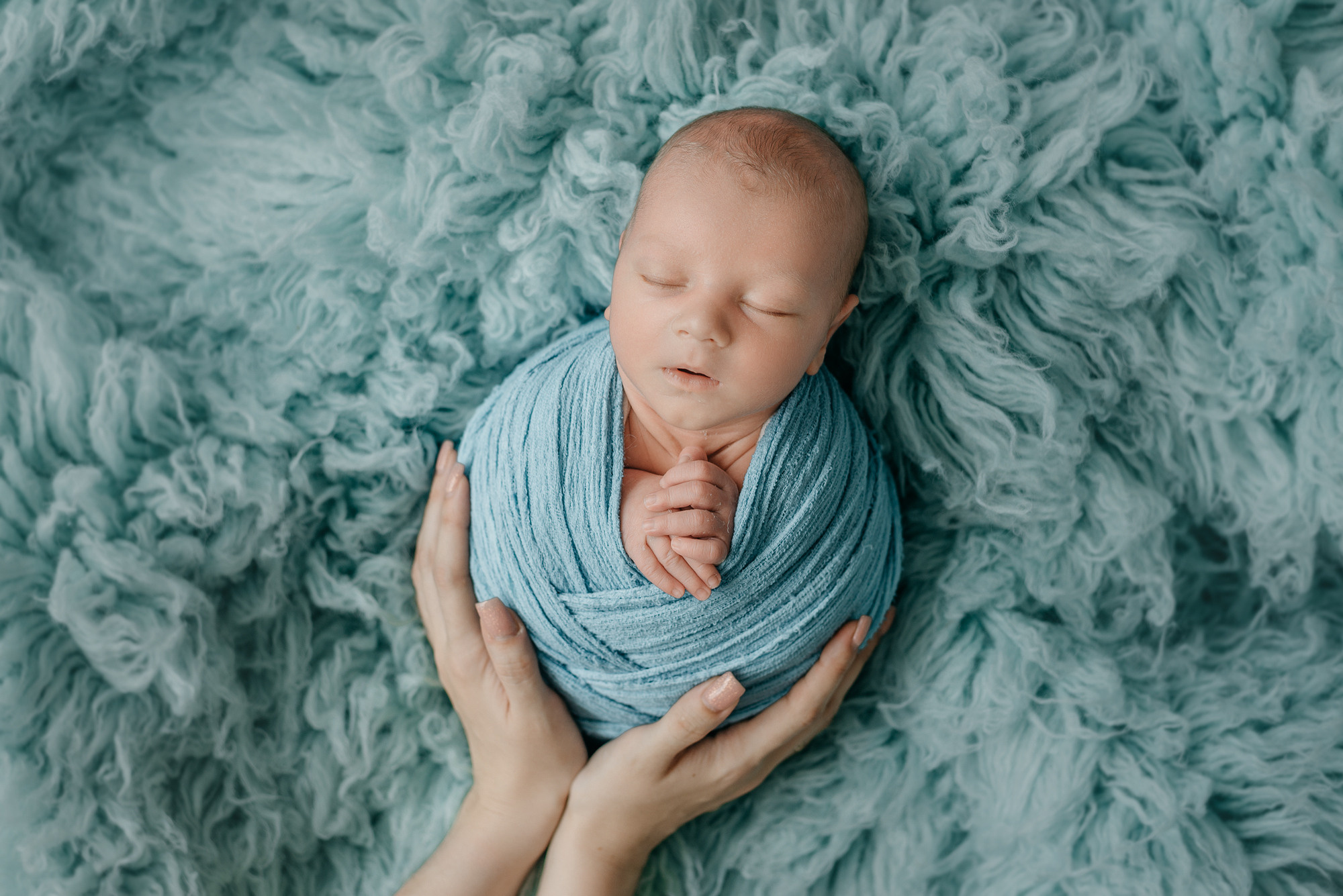 Лев. Фотограф новорожденных Белгород