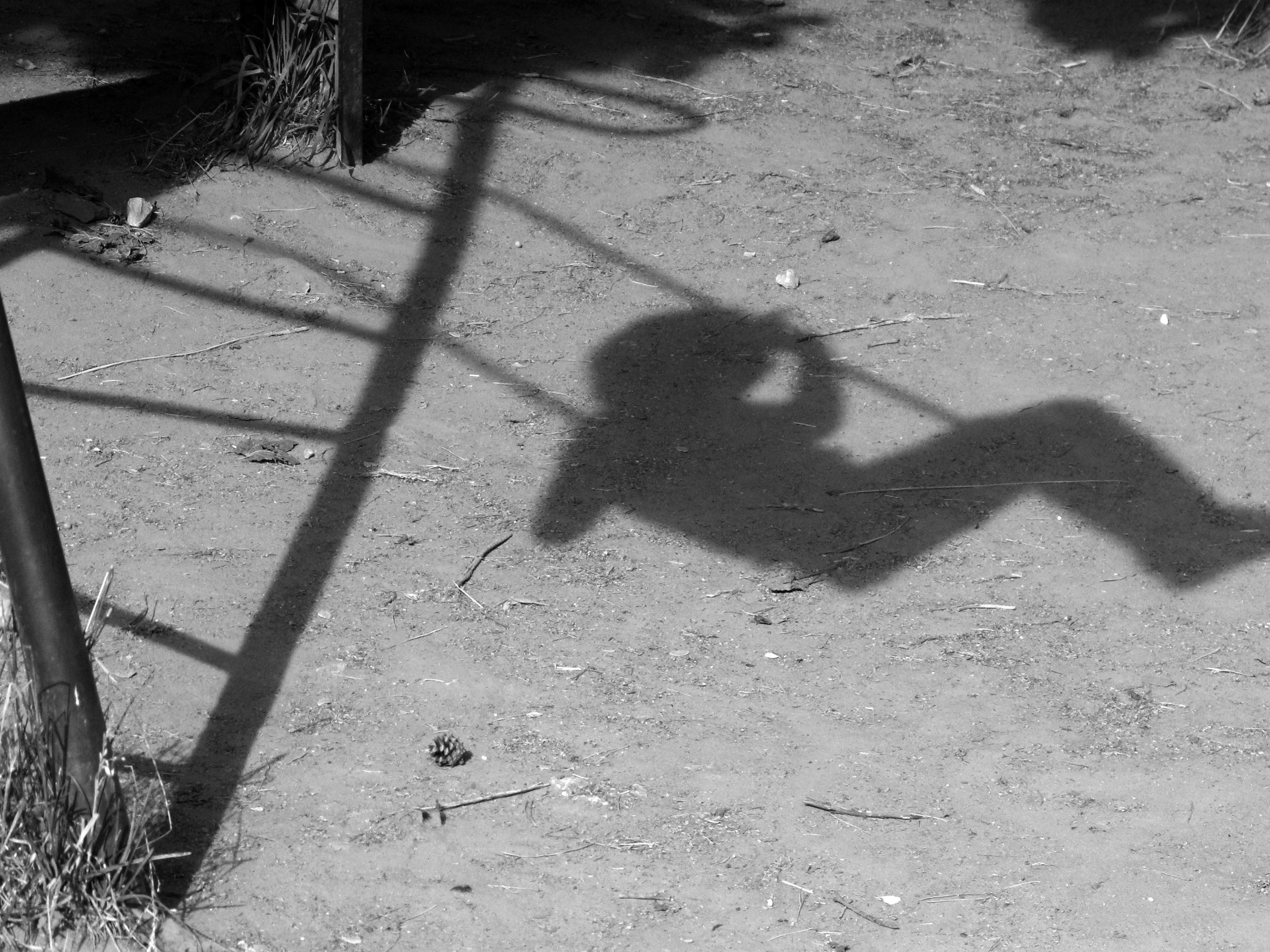 Жанр. Фотограф Лагутин Анатолий