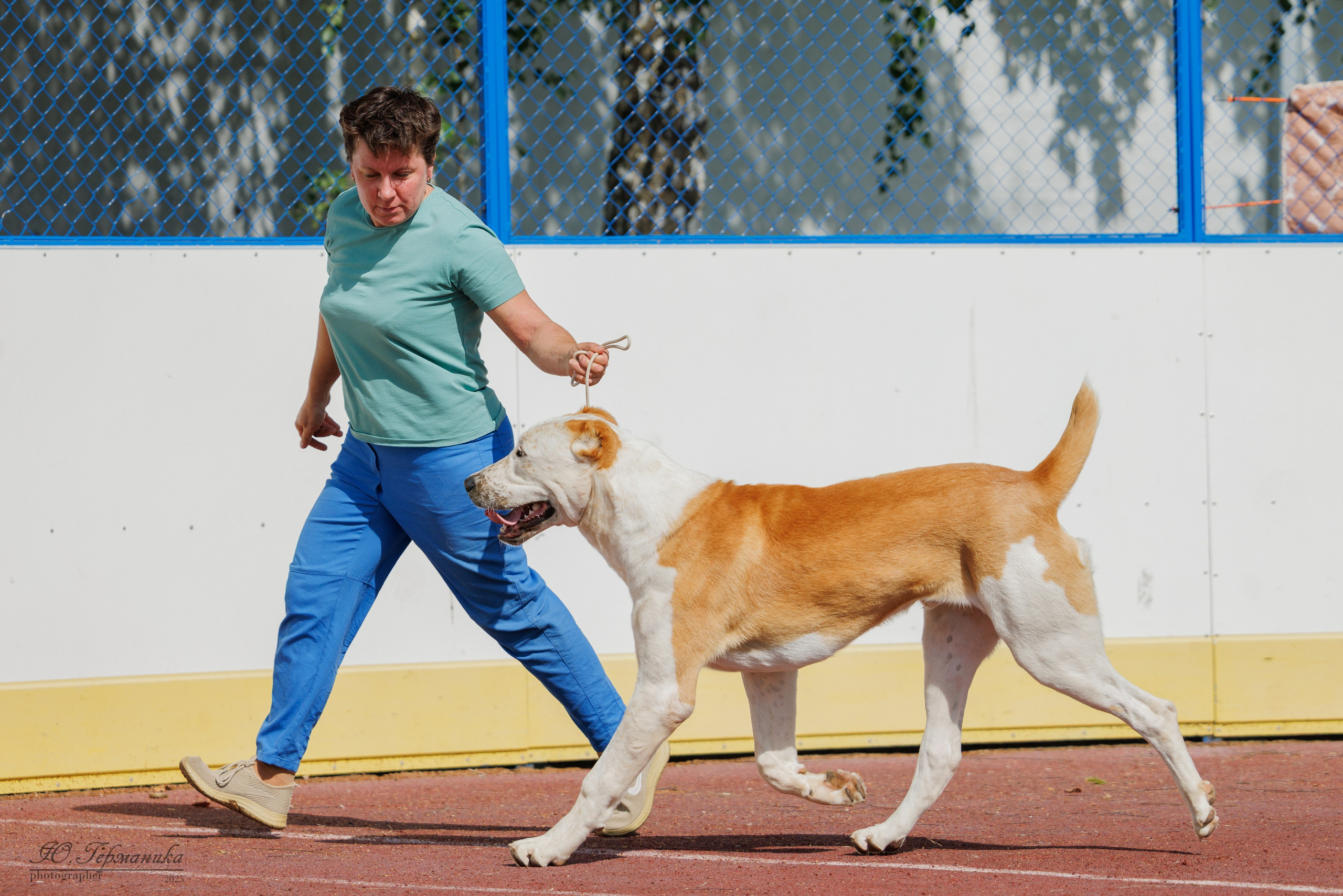 Коломна 30.08.2025. Фотограф-анималист Юлия Германика