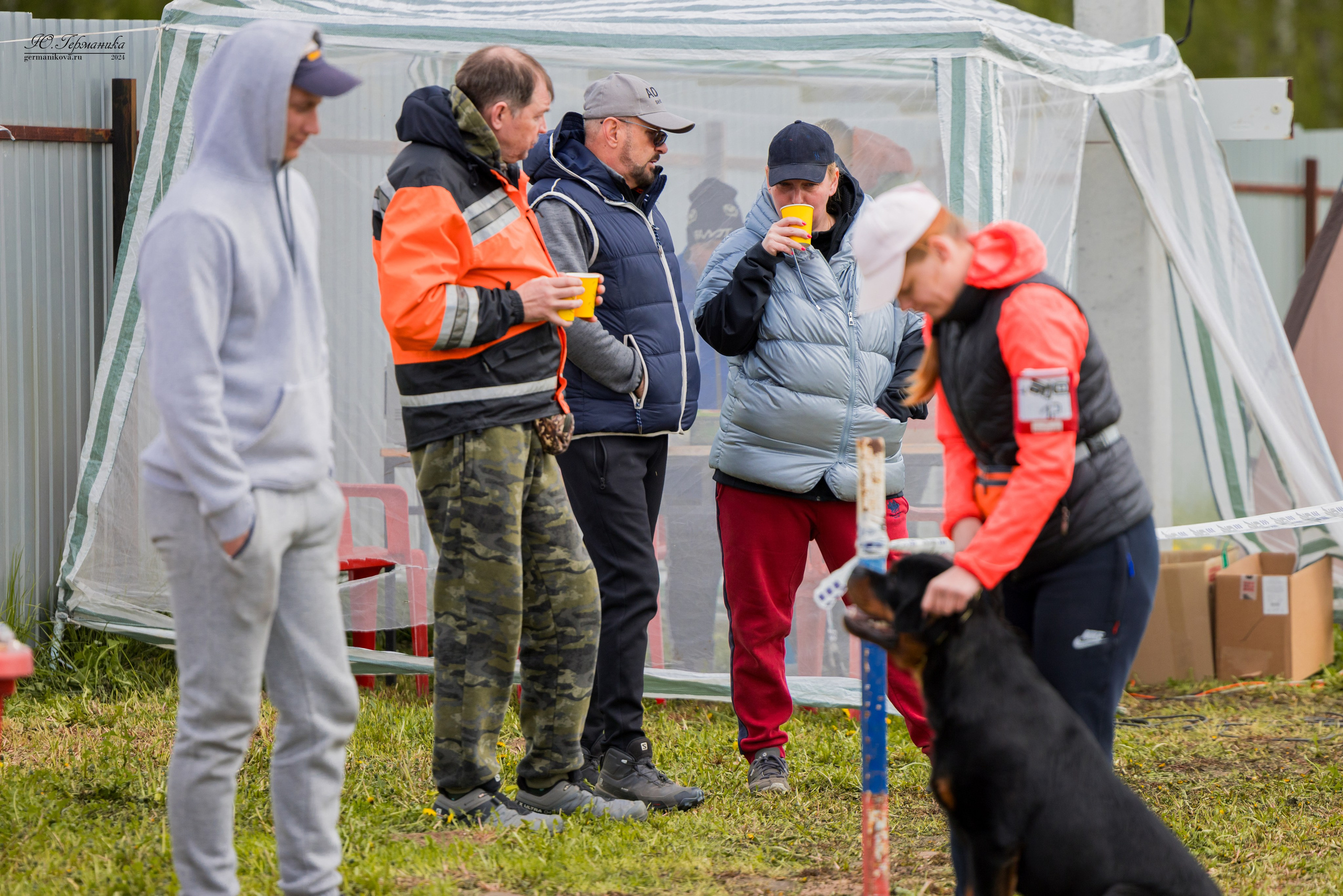 Нижний Новгород 11-12.05.2024 моно ротвейлеров. Фотограф-анималист Юлия Германика