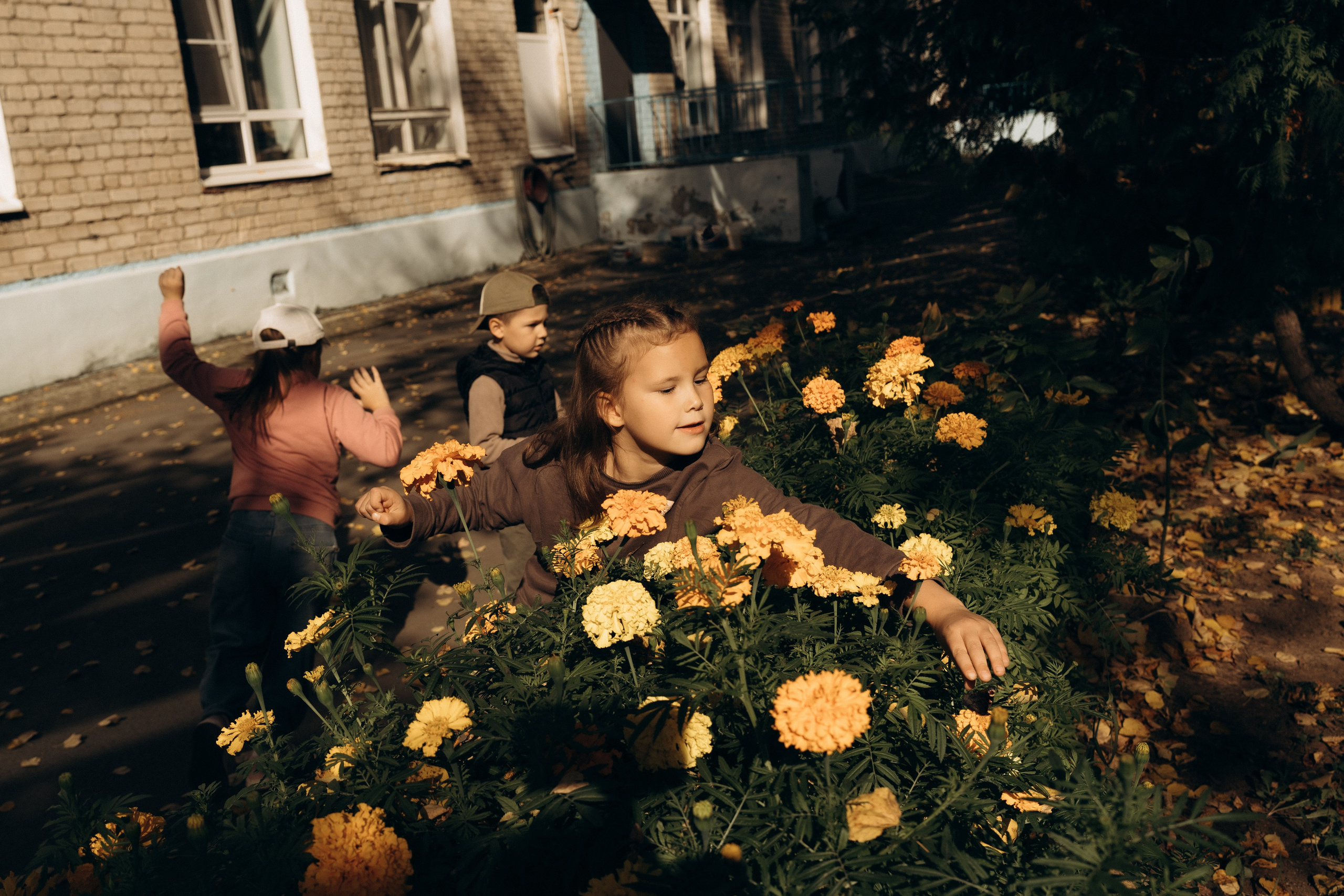 Детский Сад. Alenasokolowa.ru
