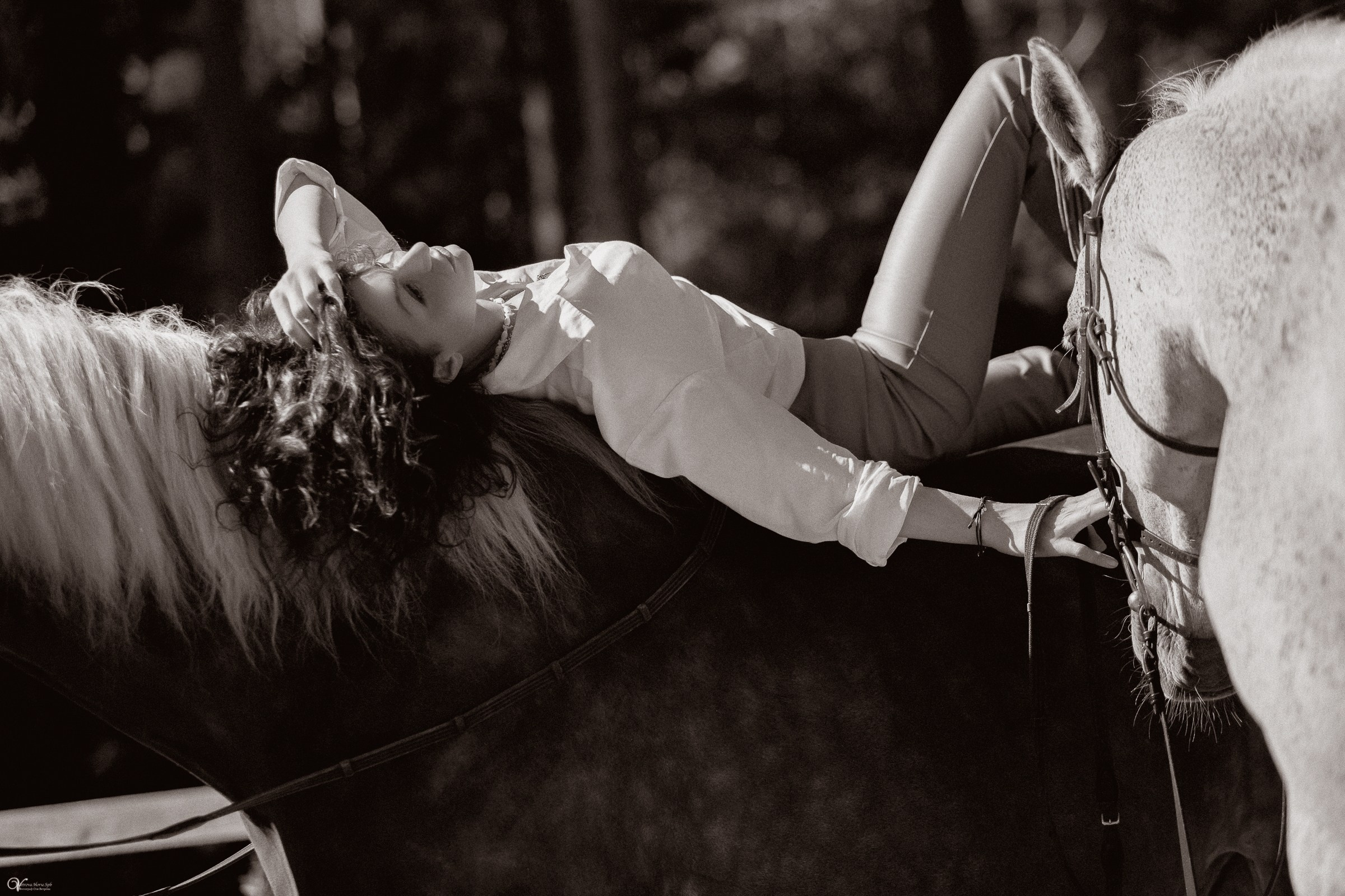 Фотосессия с лошадьми в катри-стиле. Фотограф женский и мужской портрет Санкт-Петербург