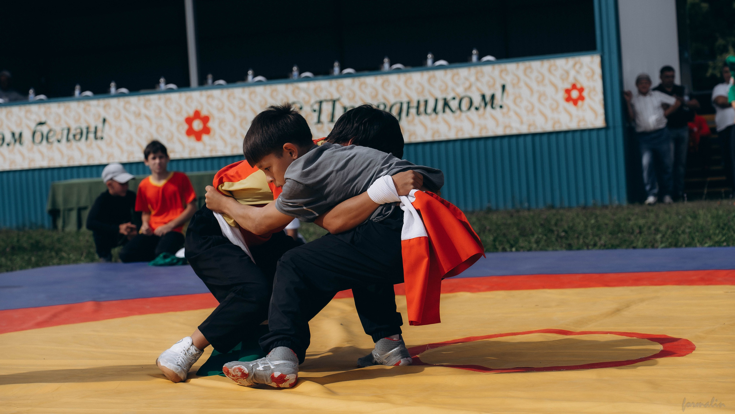 День Коня. Алиса Никитцова | Фотограф в Казани