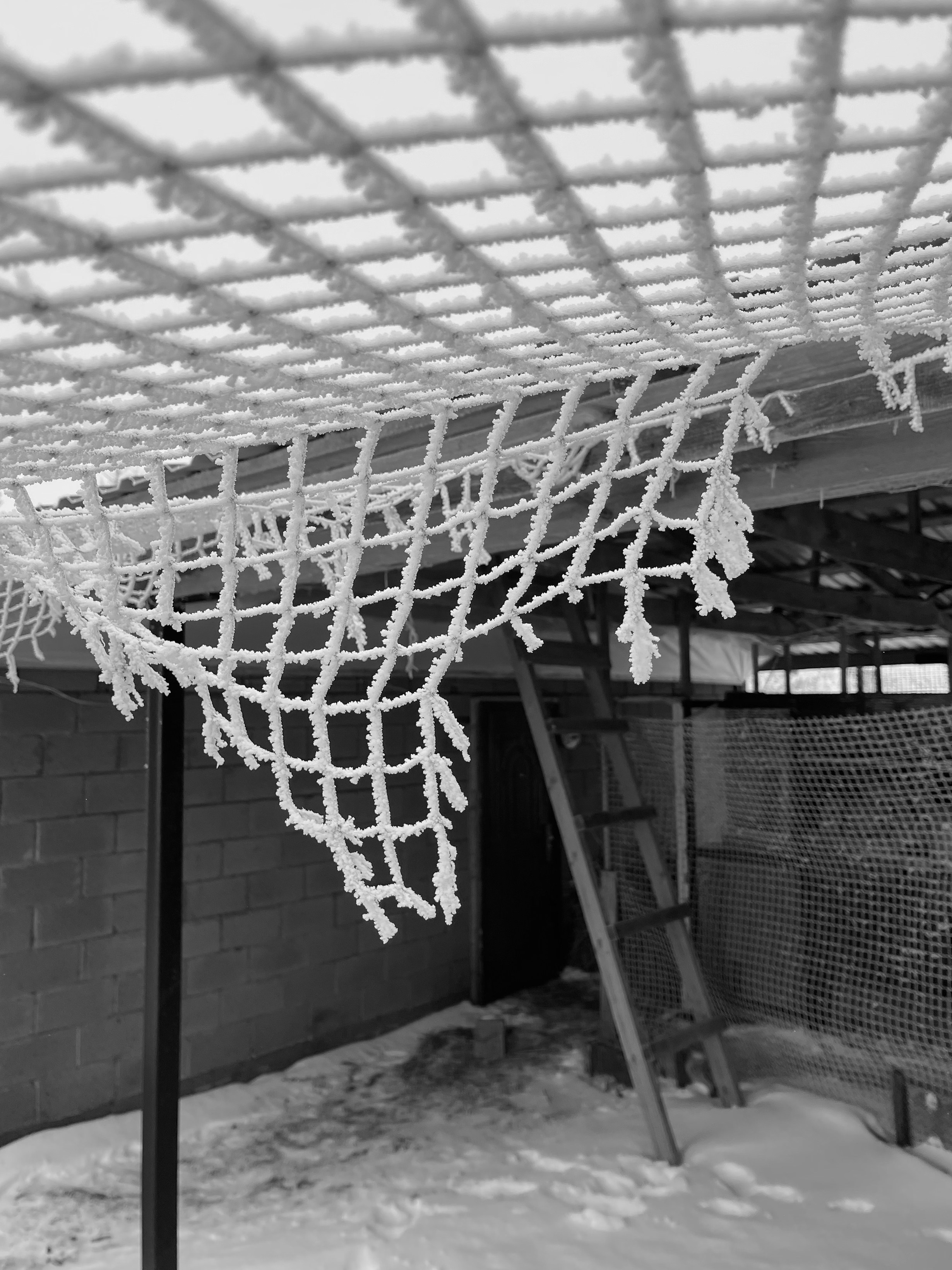 Клетка. Фотограф Мария Усманова, Казань