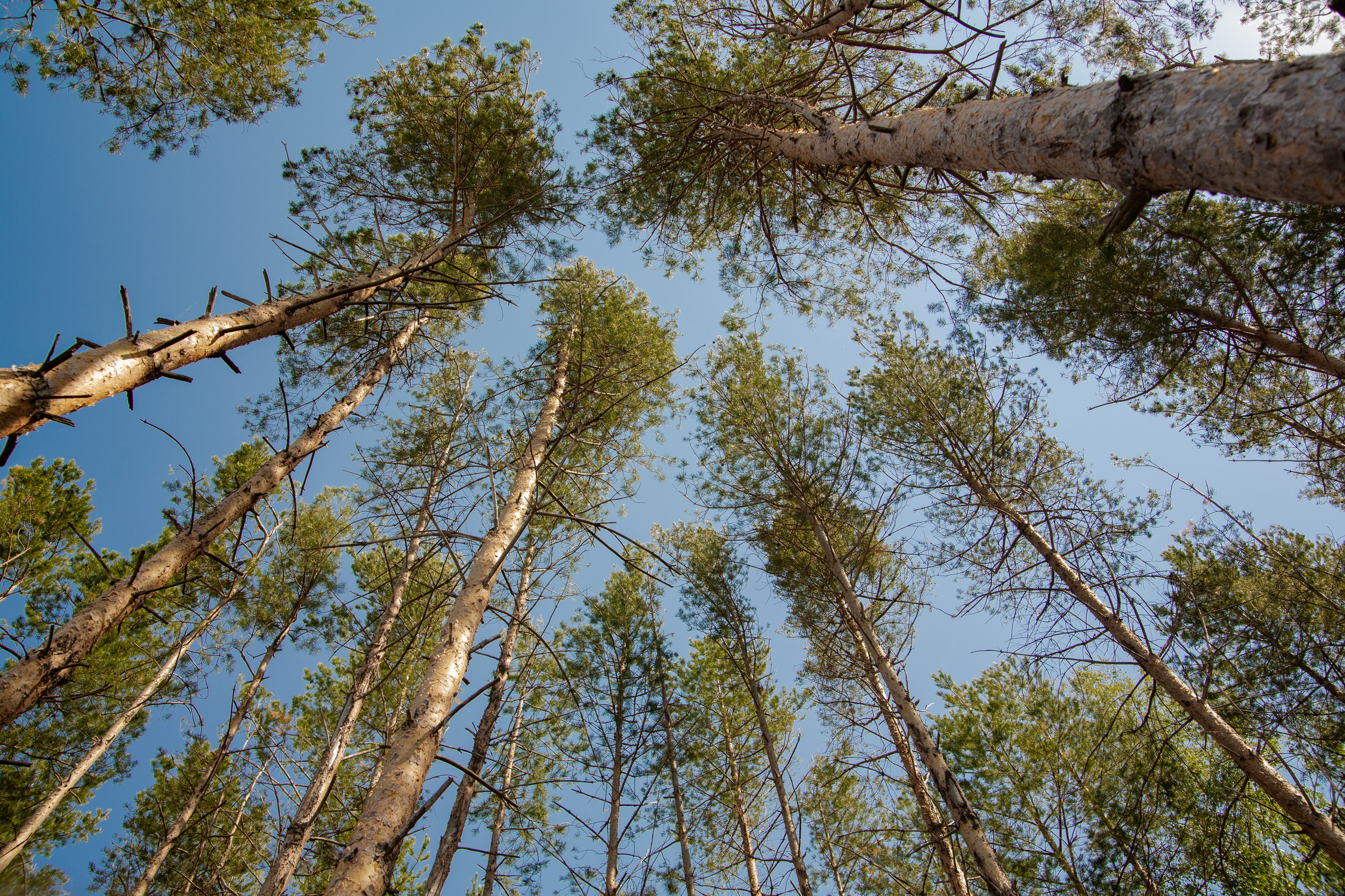 Глэмпинг «Берег грифона». Фотограф Шагалов Михаил