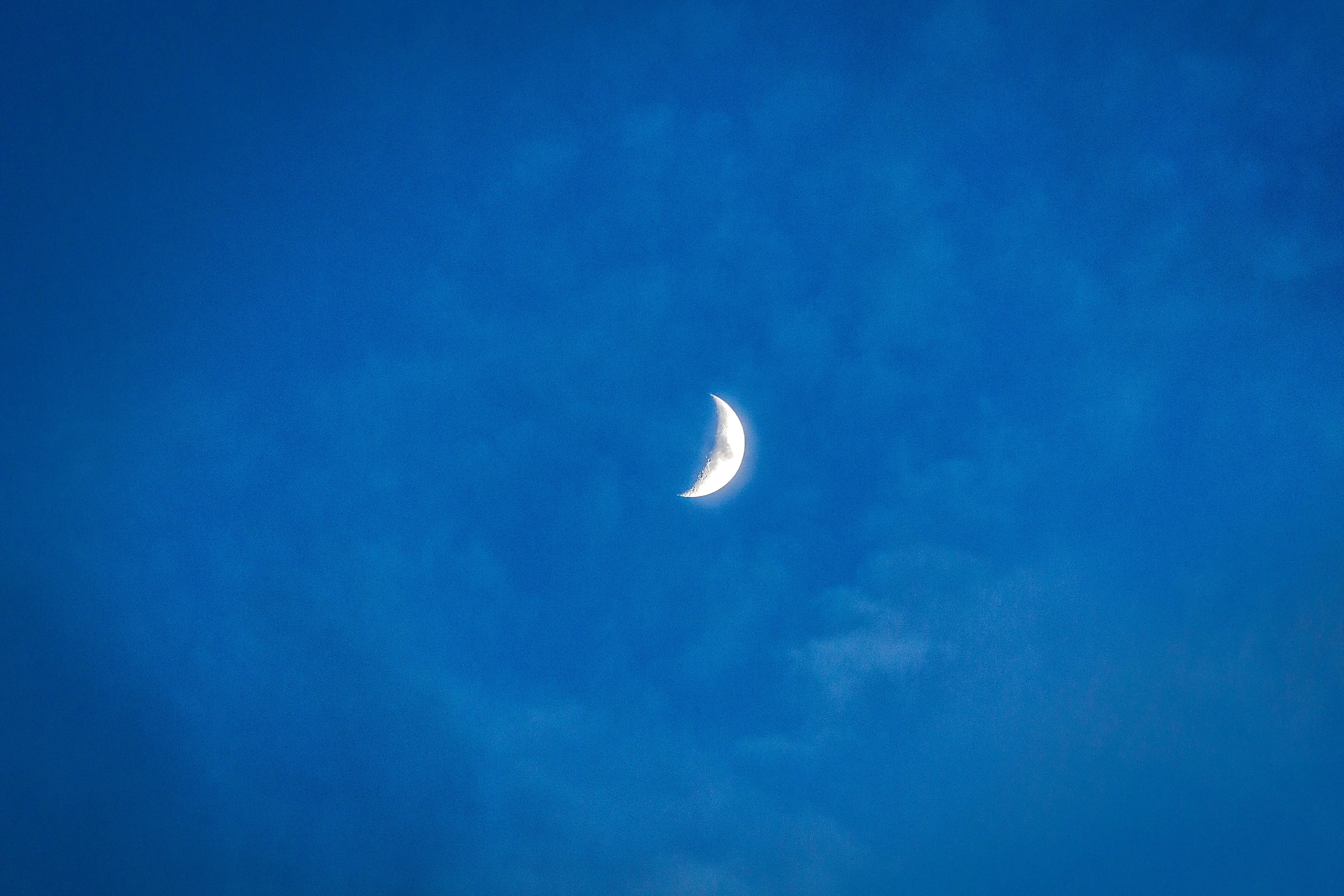 Проект «366»|2024|Фото каждый день. LENA GRACE photographer ||ЛЕНА ГРЭЙС фотограф