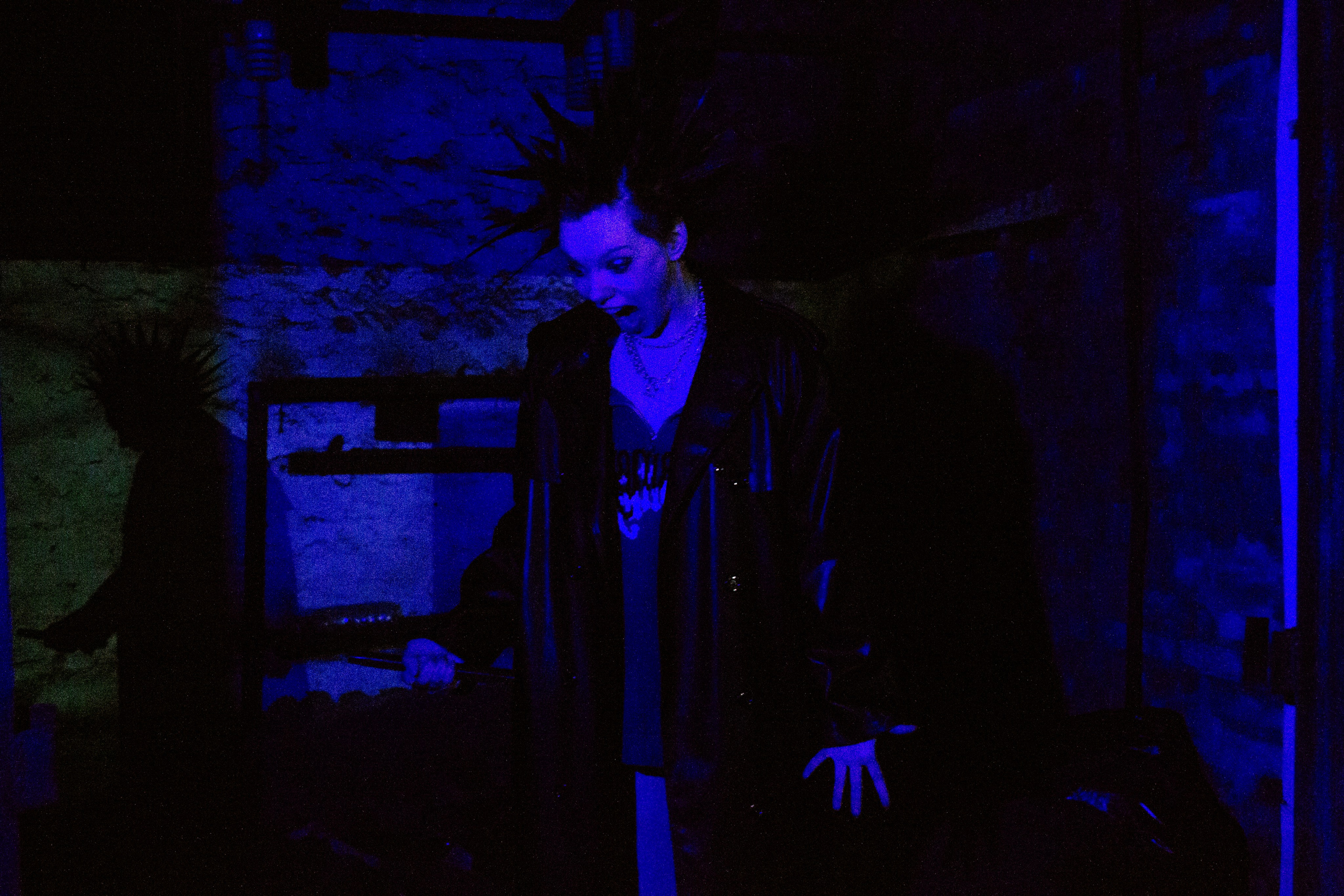 Гошок жив?. Костенко Анна pdie