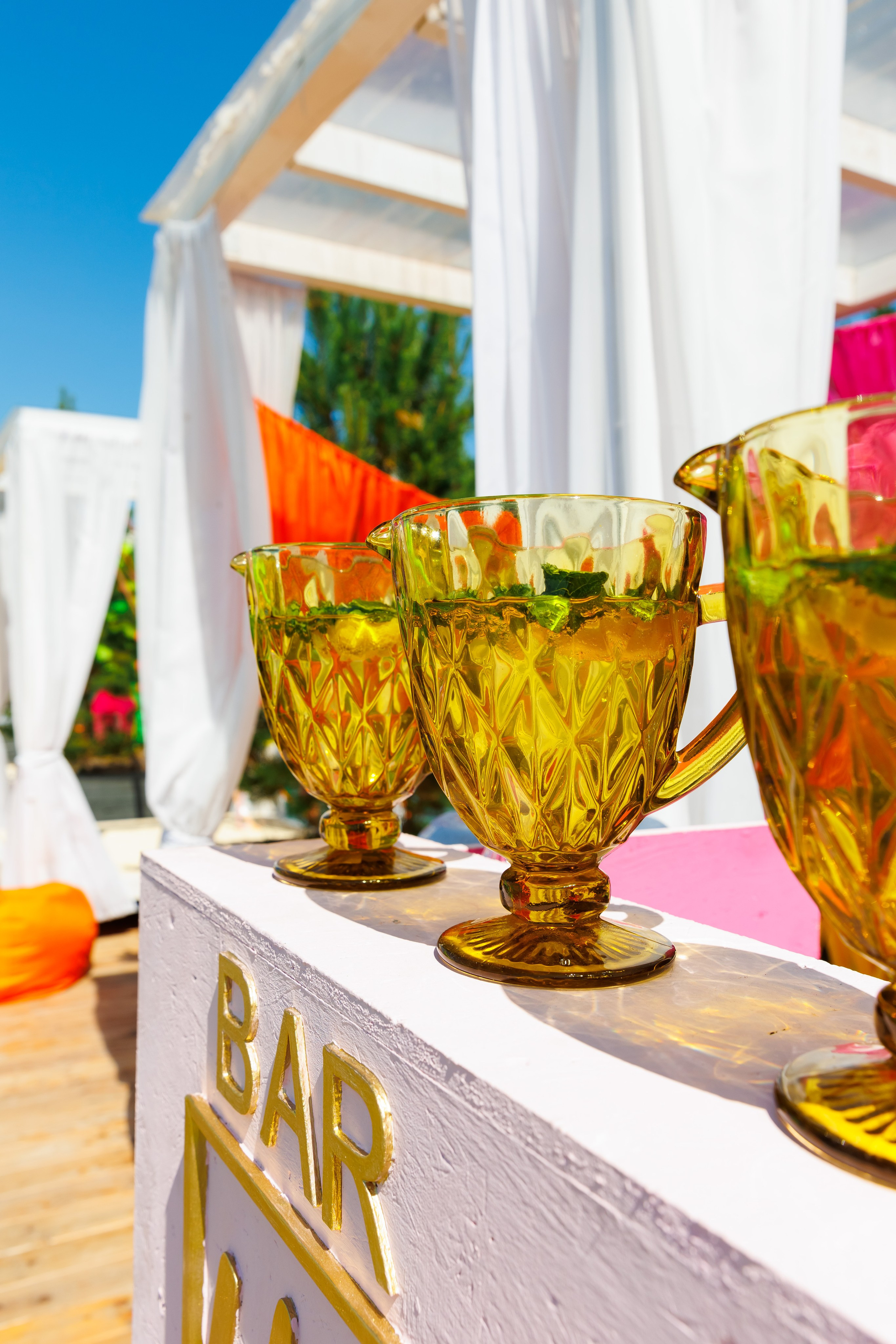 Летняя вечеринка декораторов ШИУ. Фотограф Новосибирск — Наталья Гресь