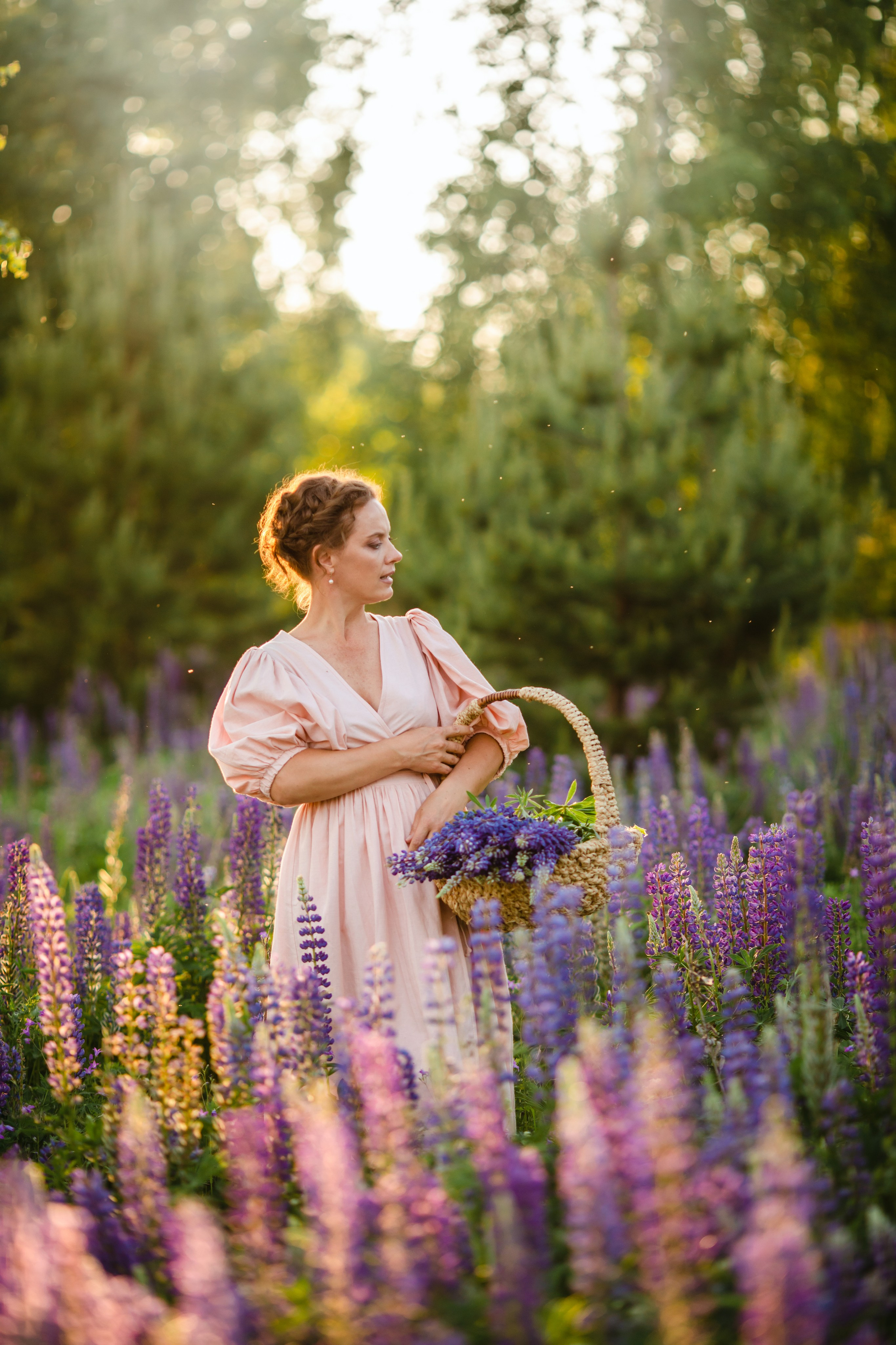 Люпины. Olga.filippova.photo