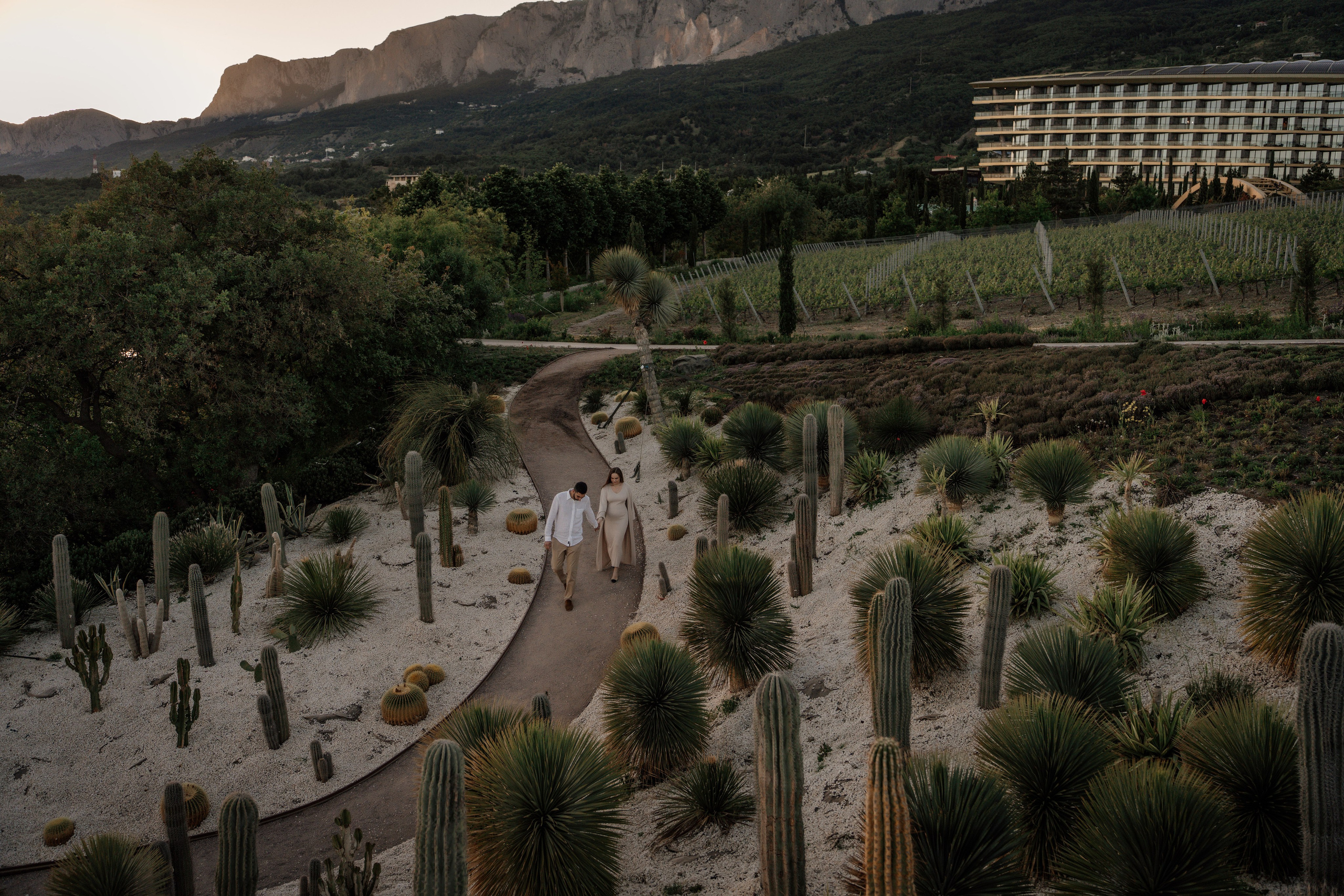 Винный парк (территория отеля Мрия). Фотограф и Видеограф Севастополь Крым