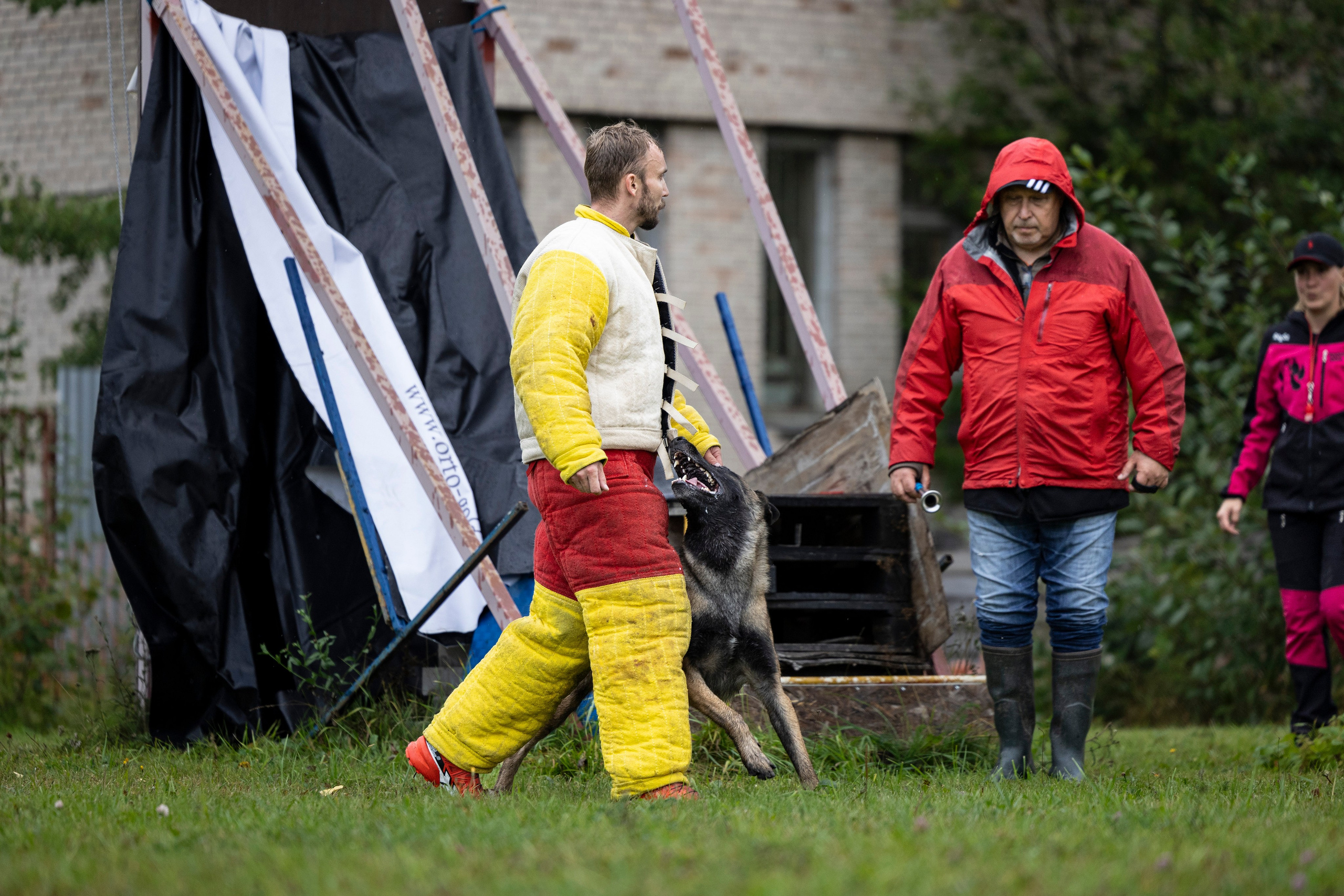 Испытания по Мондьорингу г. Пушкин. Фотограф-анималист Анна Маринич