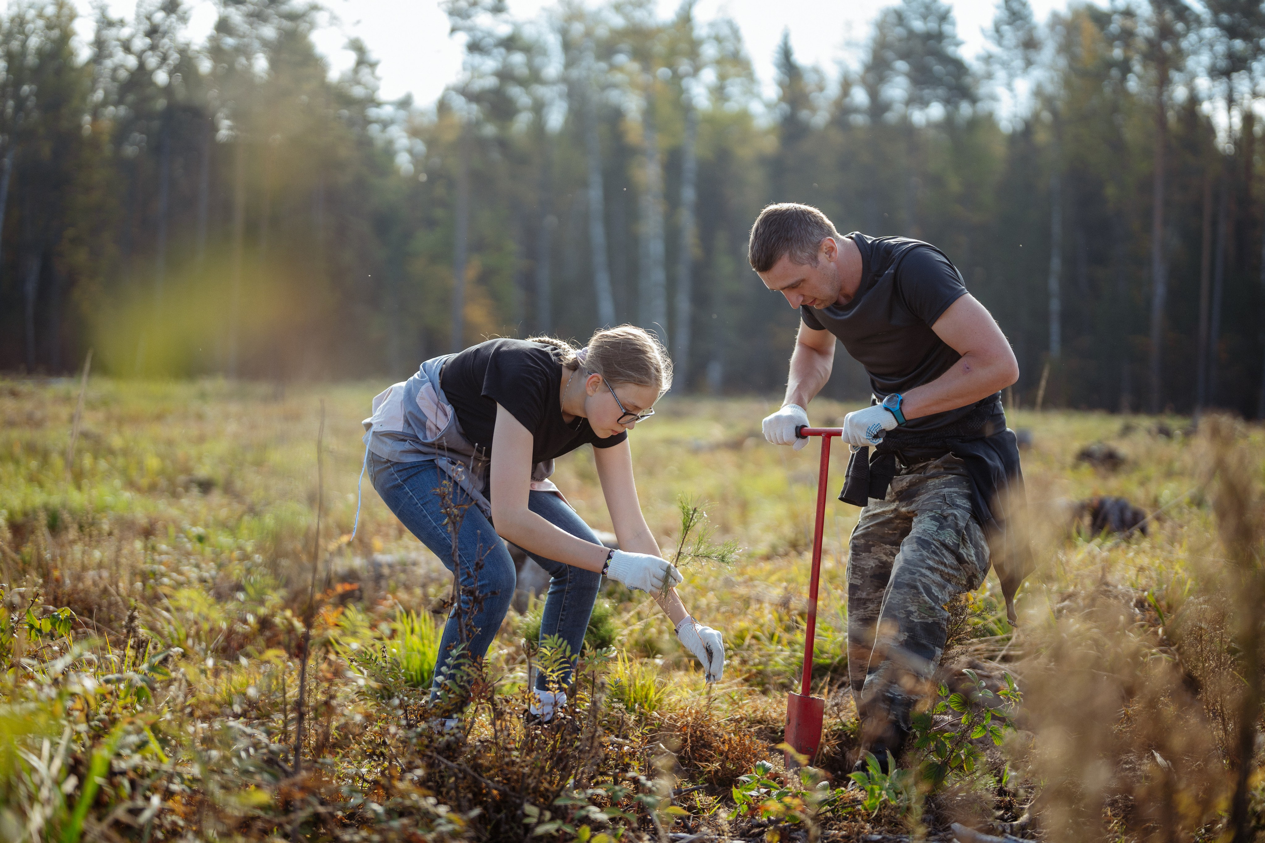 СБЕР · ЭКА · Посадка сеянцев. Владимир Вершинин, тот самый свадебный видеограф