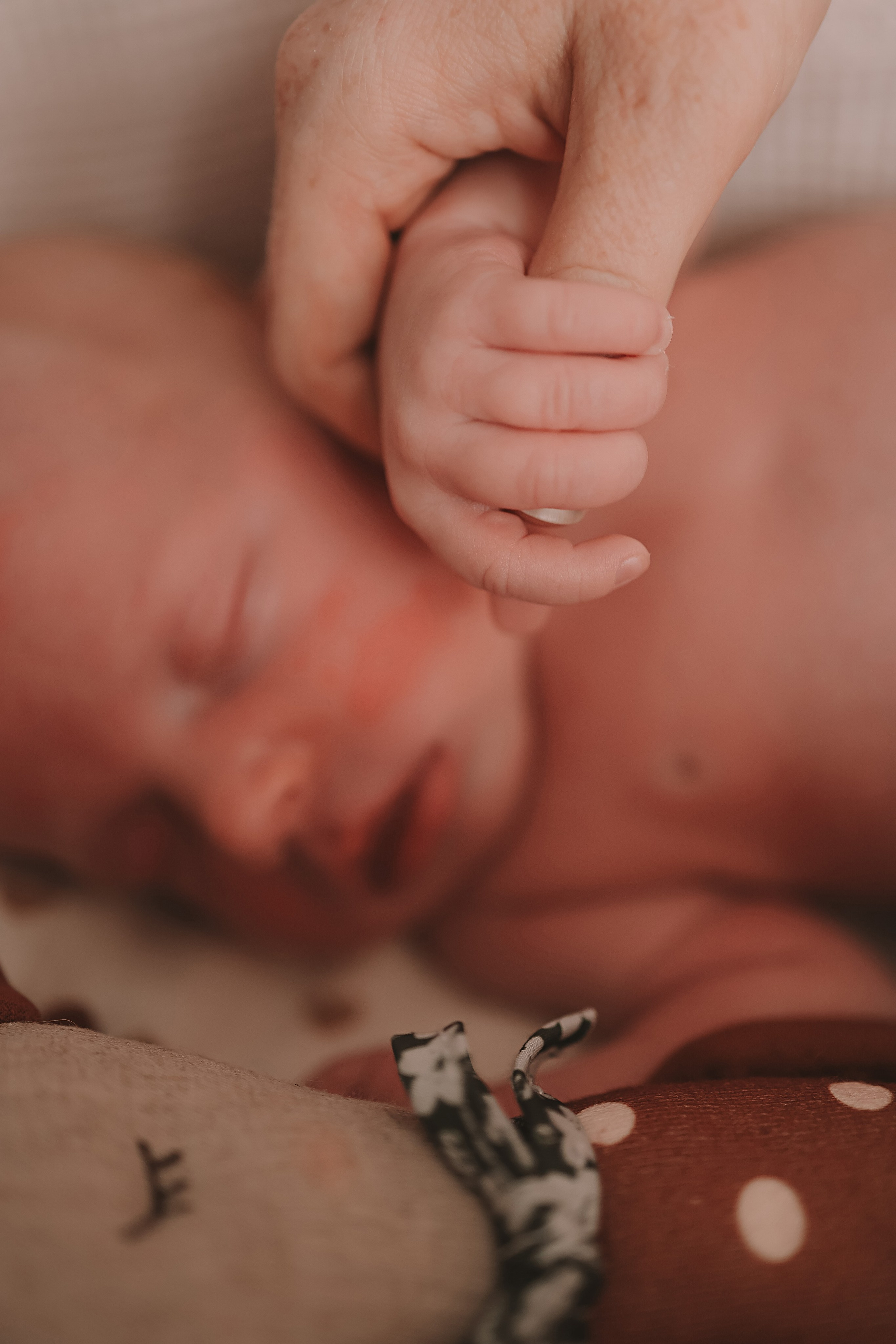 Ефим, 2 недели. Семейный фотограф Тюмень, фотограф на роды Салмина Мария