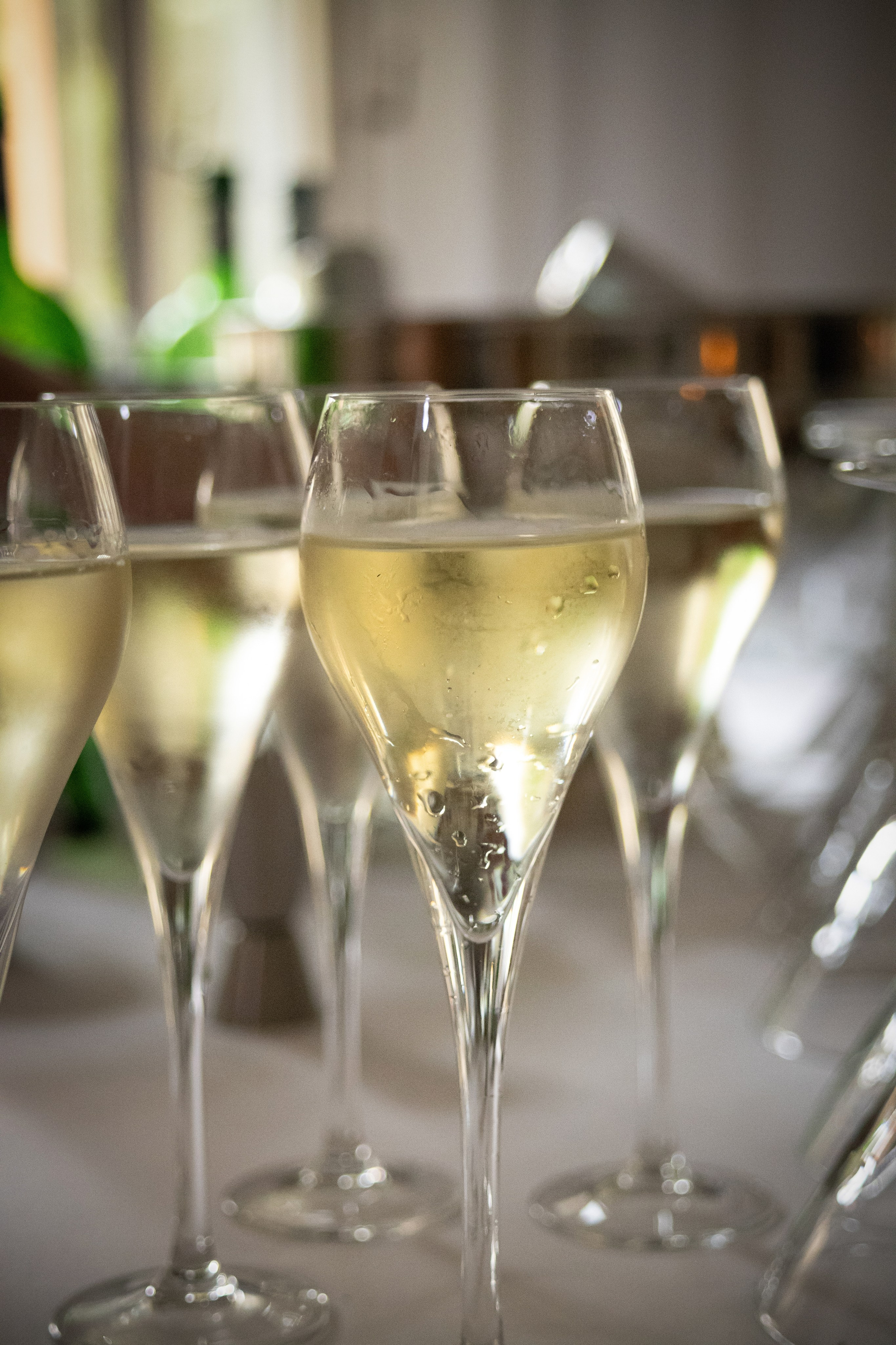 Prague, book presentation. Magic photos