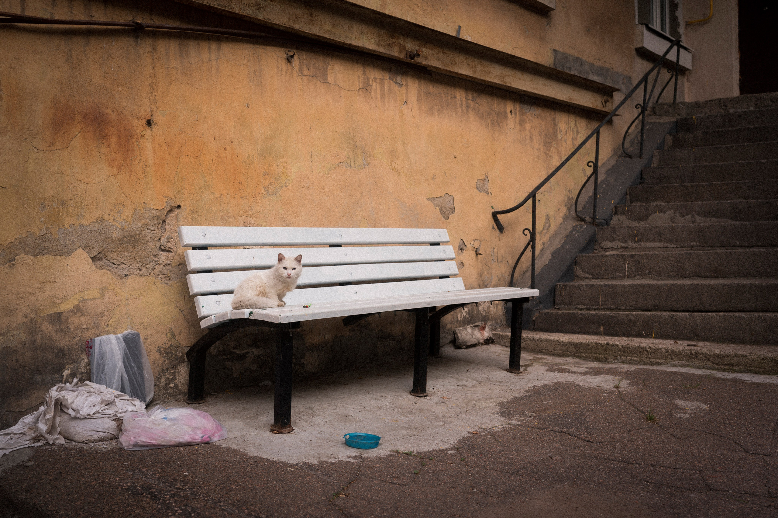 North 2024. Kartascheff