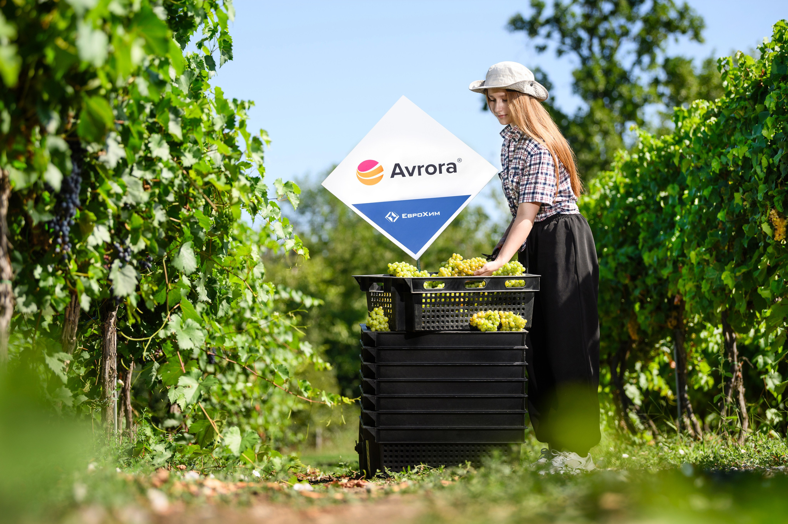 Проекты. Профессиональный фотограф Вячеслав Плацында | Липецк |
