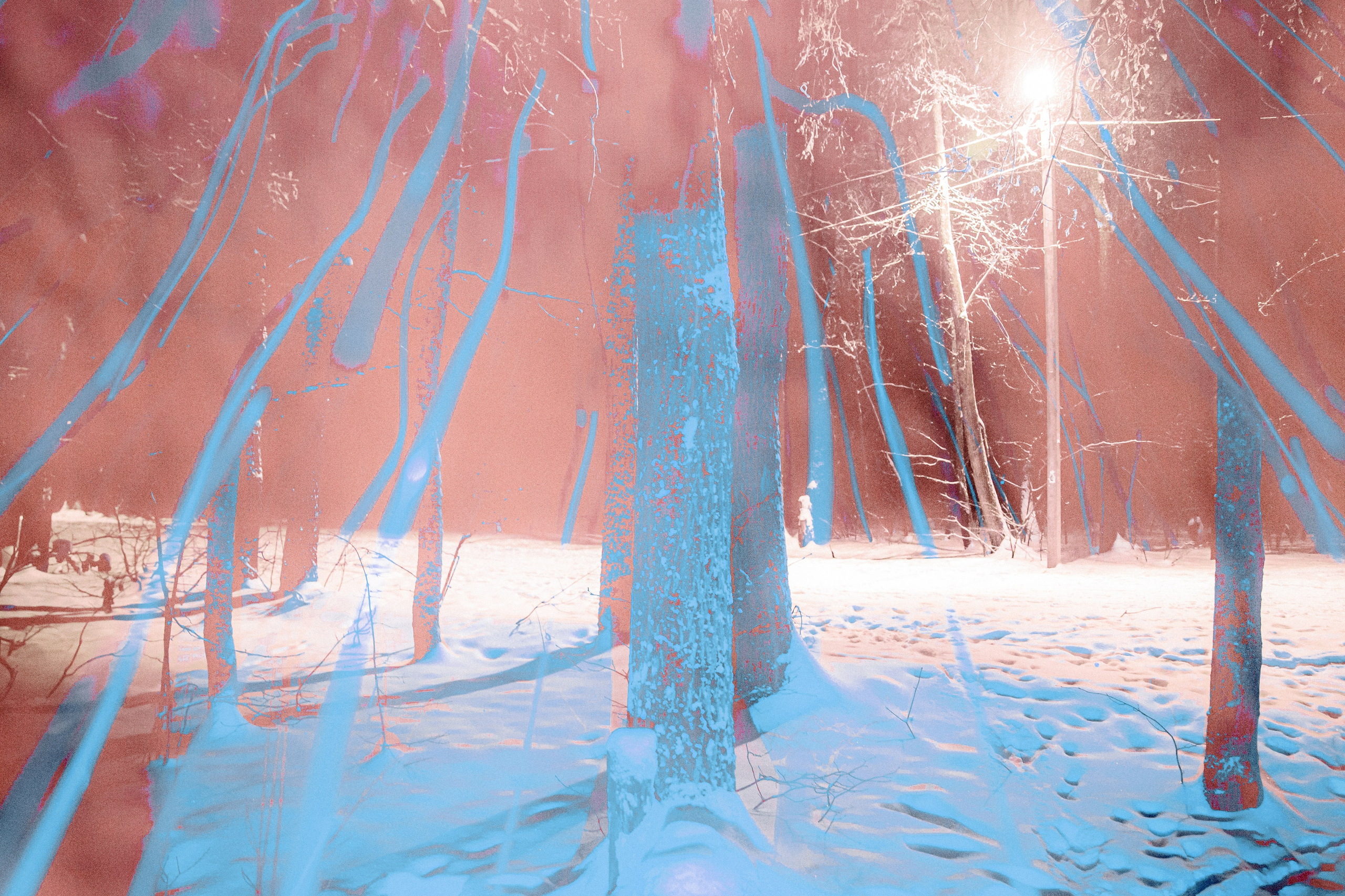 ИГГДРАСИЛЬ, 2025-2026. АННА ВЕРСО / ANNA VERSO | Визуальный художник / Visual artist