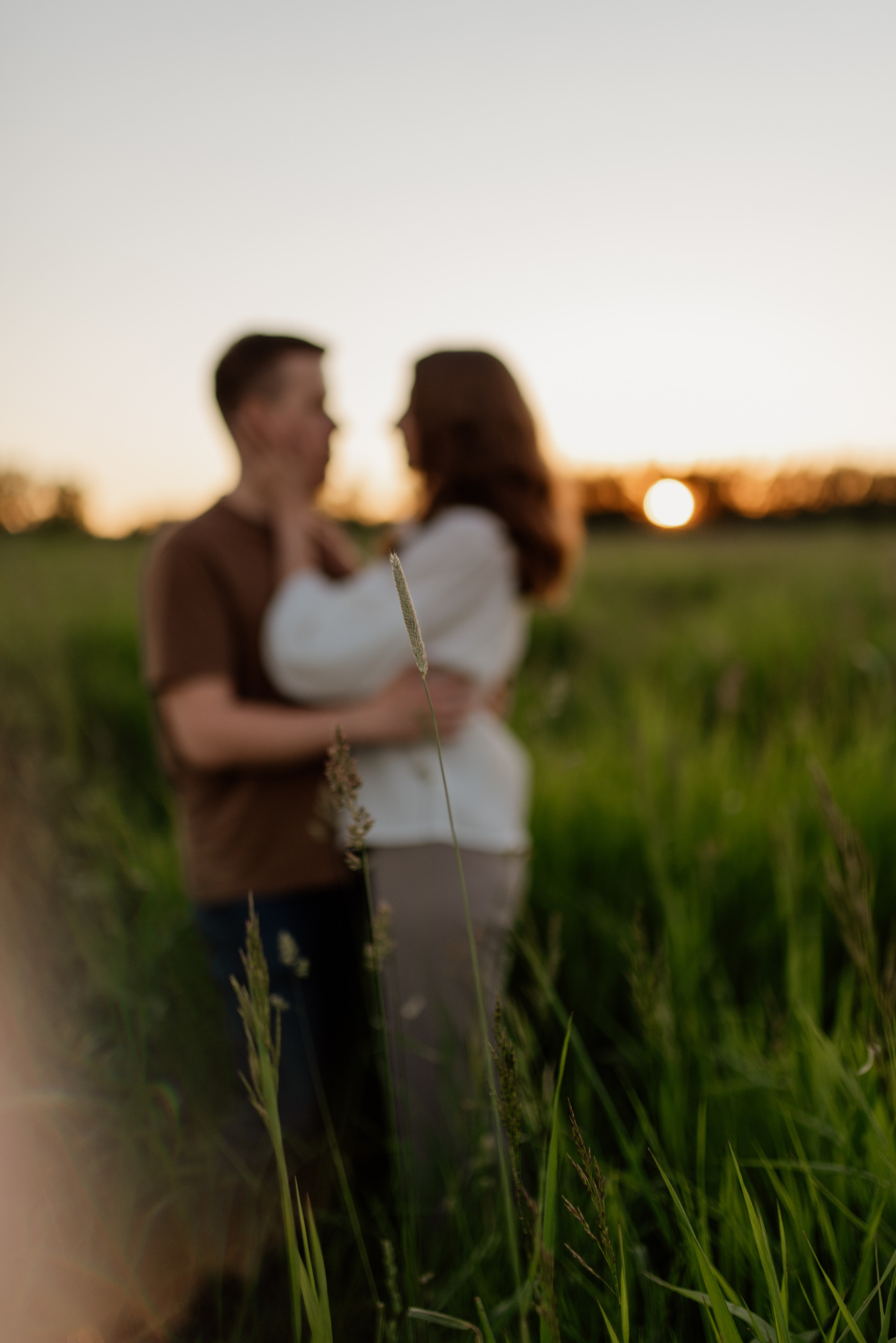 Дима и Яна. Свадебный и Семейный фотограф в Ярославле Алёна Колясникова