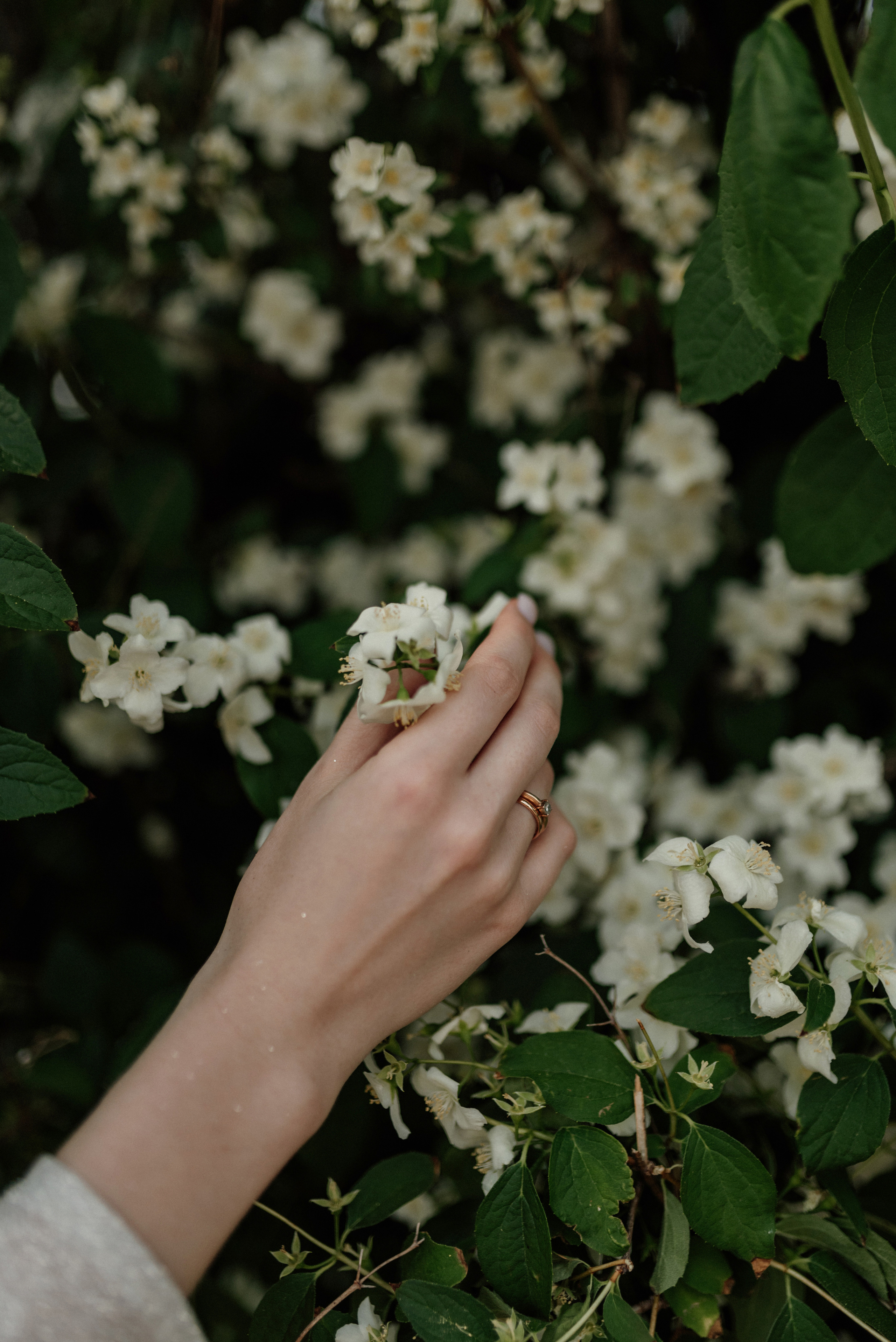 Никита & Марина. Свадебный и Семейный фотограф в Ярославле Алёна Колясникова