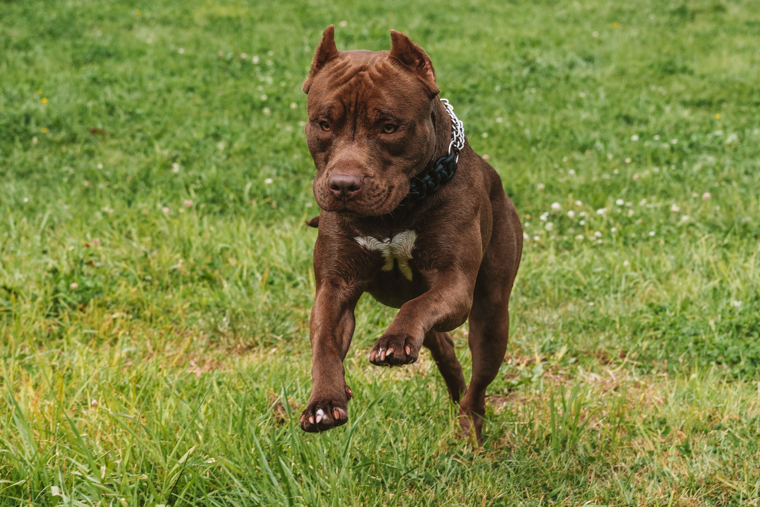Лав стори фотограф Санкт-Петербург. Свадебный, семейный, портретный, репортажный фотограф в Санкт-Петербурге