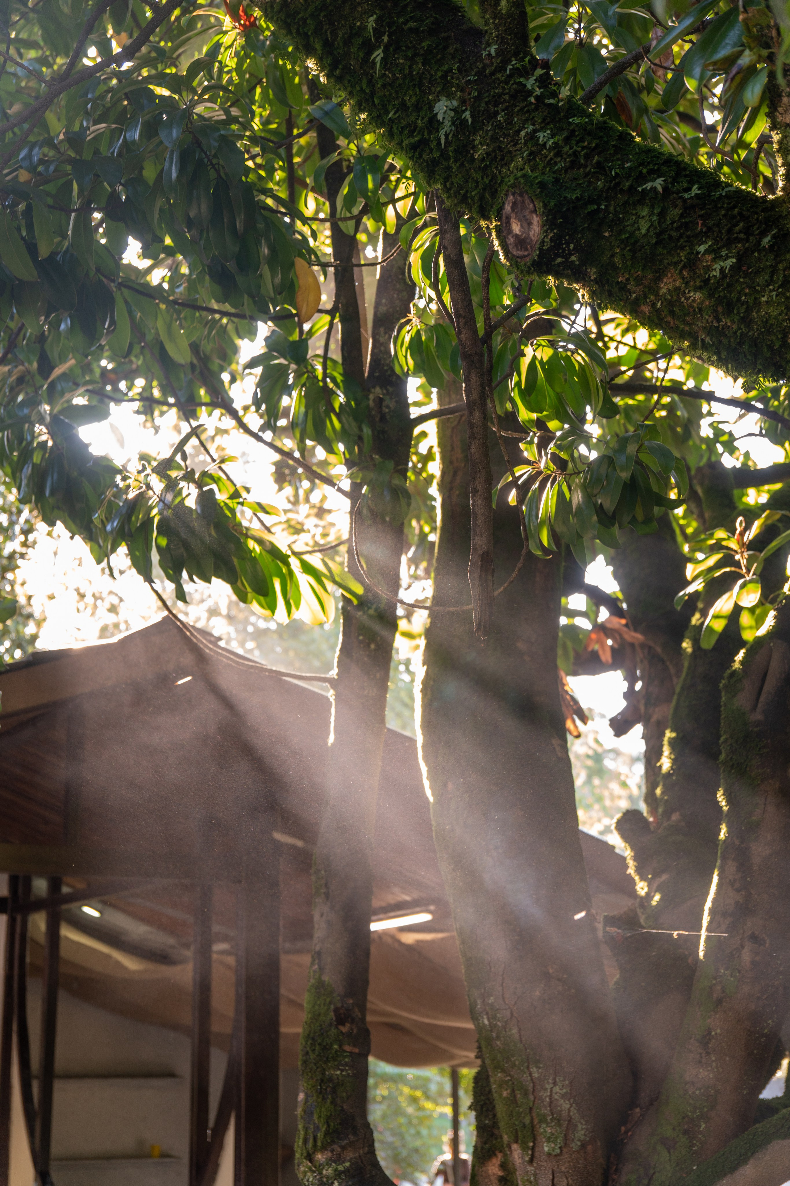 Абхазия. Gusarov Travel Photography