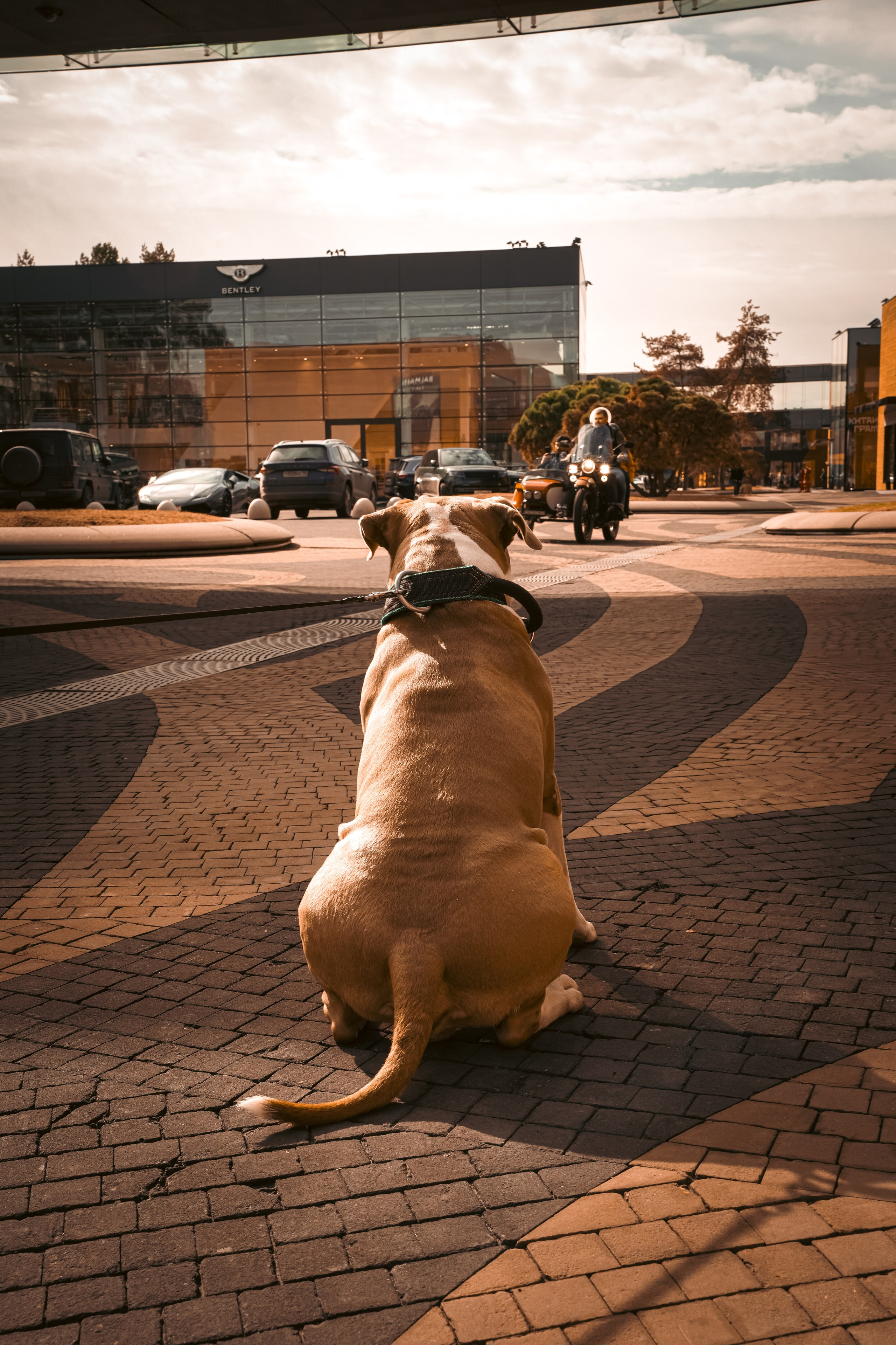 Репортаж, Корпоративы. Dobromilova.com