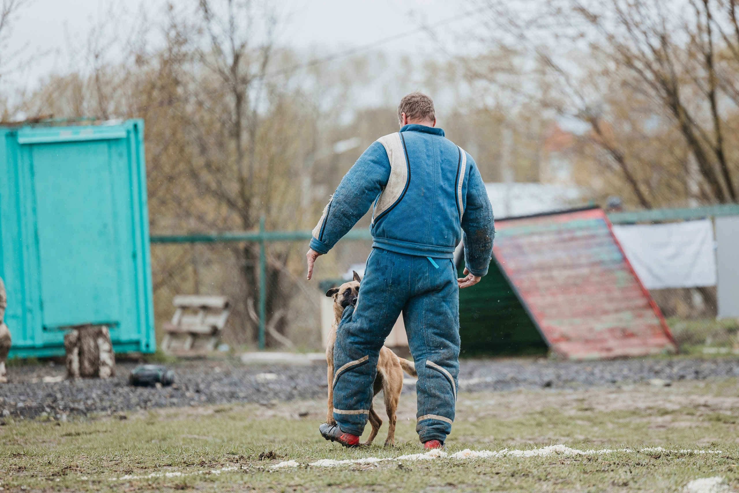 09.05.25 Вологда соревнования. Фотограф-анималист Анна Маринич