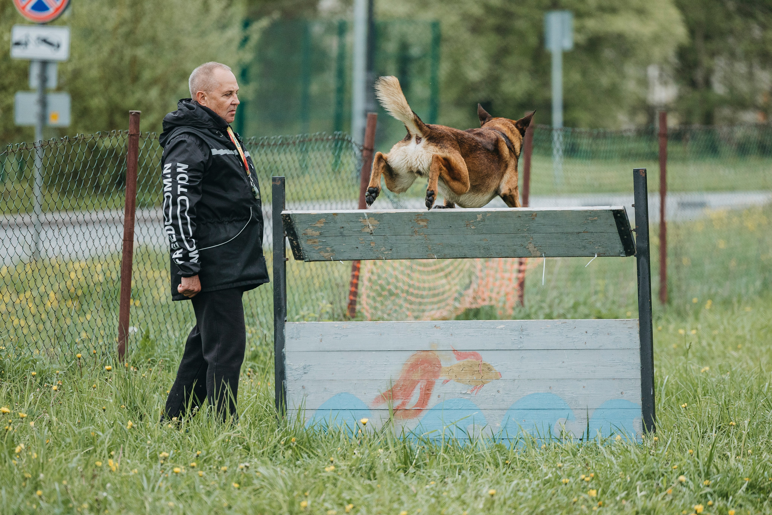 26.05.25 г. Пушкин квалификационные соревнования. Фотограф-анималист Анна Маринич