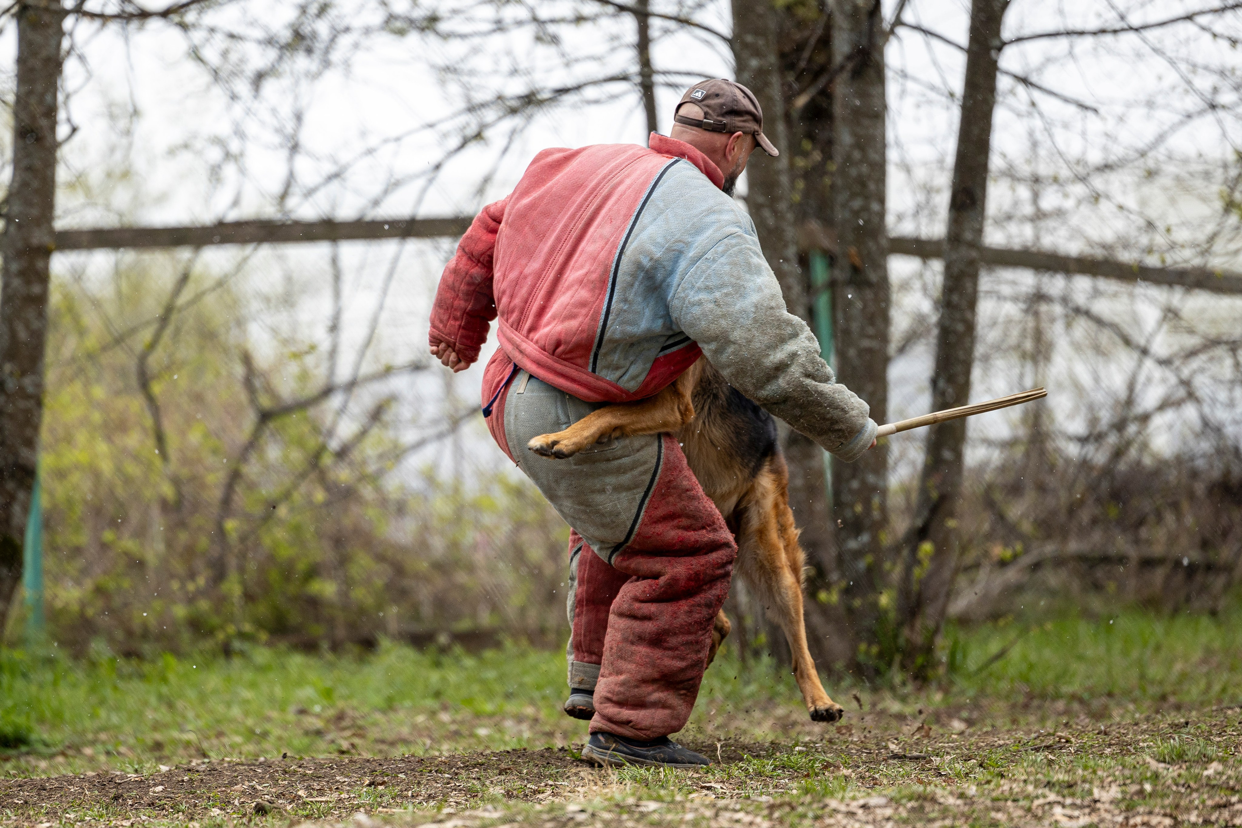 Квалификационные состязания по мондьорингу г. Вологда 11.05.24. Фотограф-анималист Анна Маринич