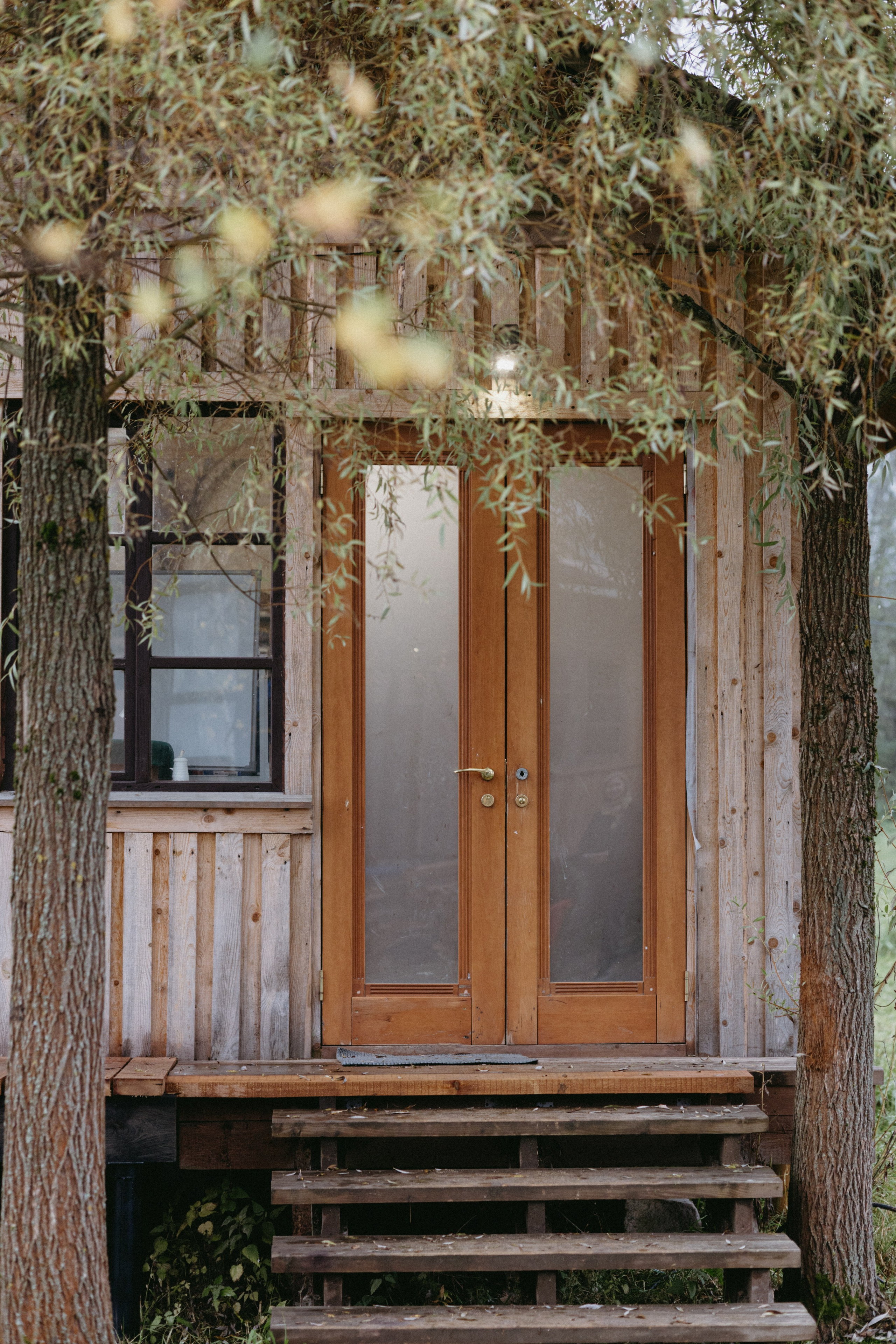 Новые земли. Про любовь