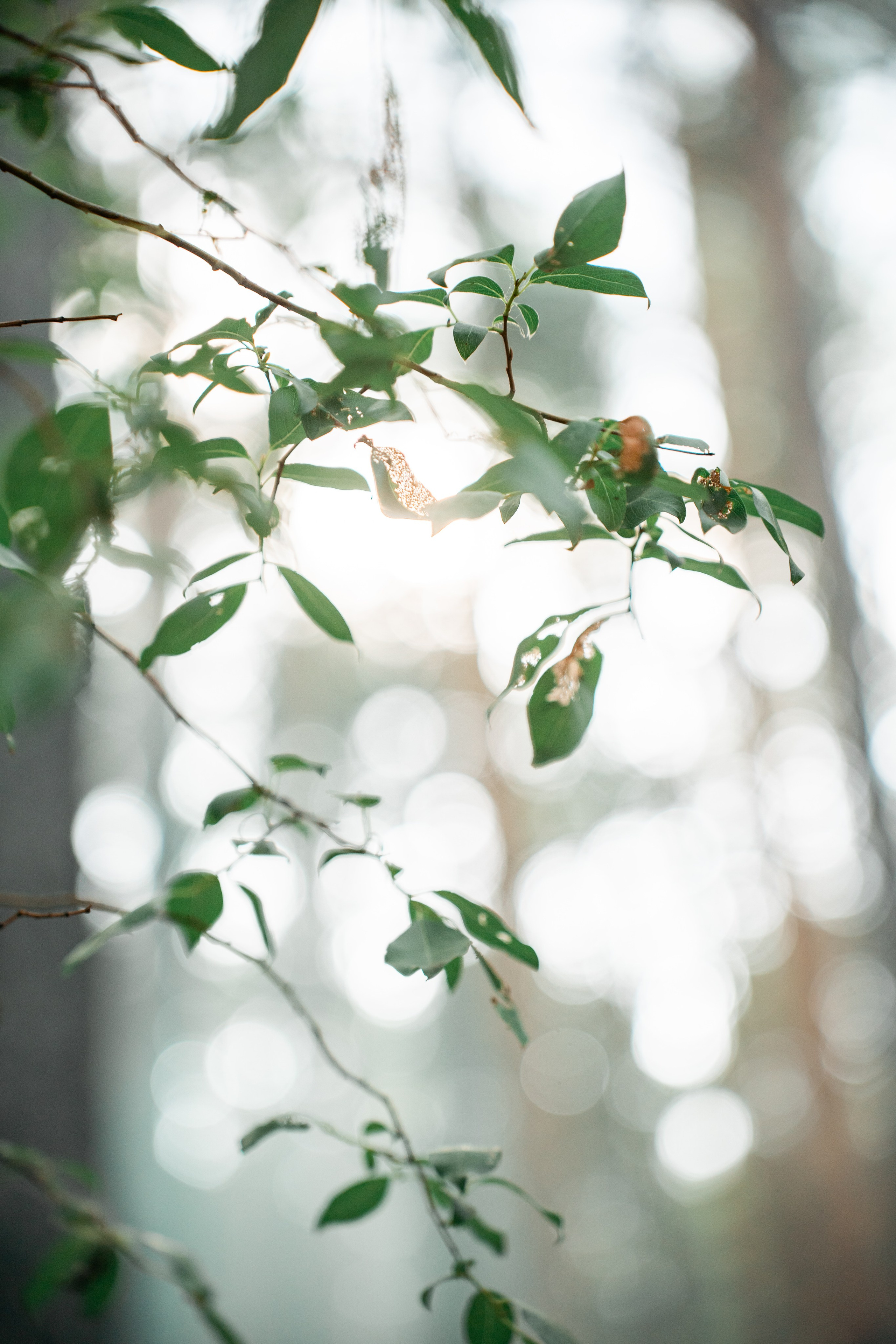 Антон и Кристина. Главная