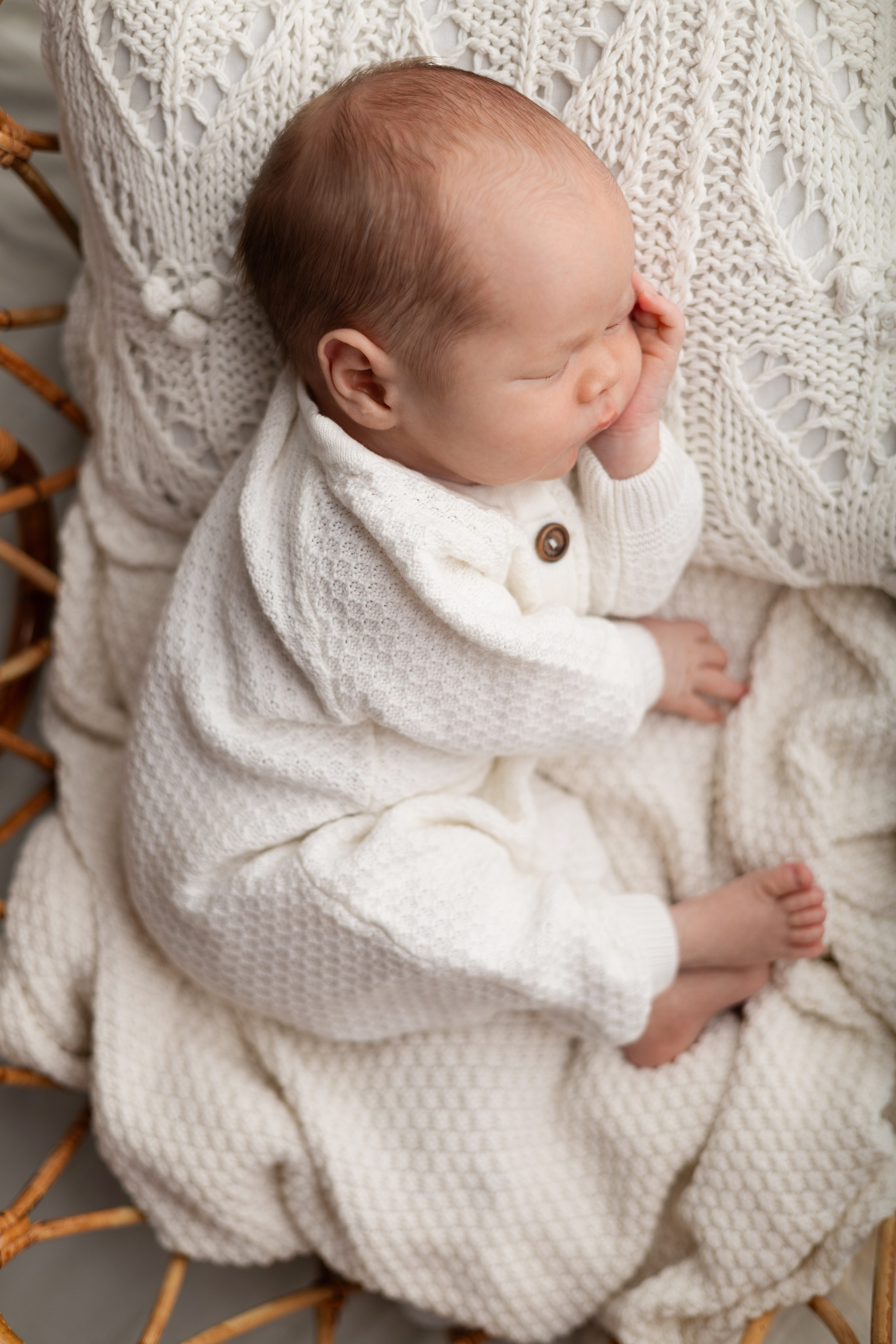 Лев. Лилия Алтухова — фотограф новорожденных в Москве и области