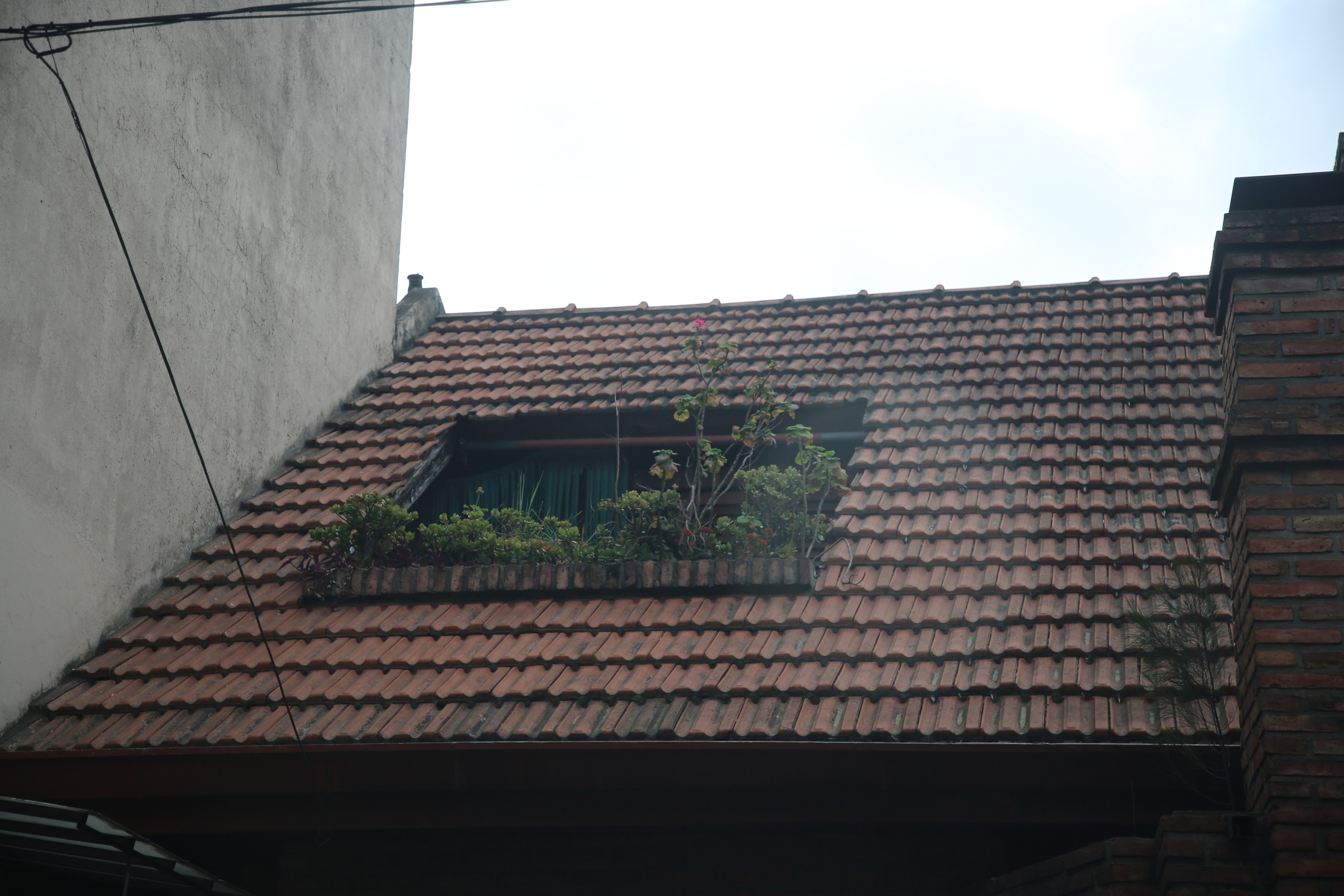 Buenos Aires, Argentina. Andrey Filippov Photographer