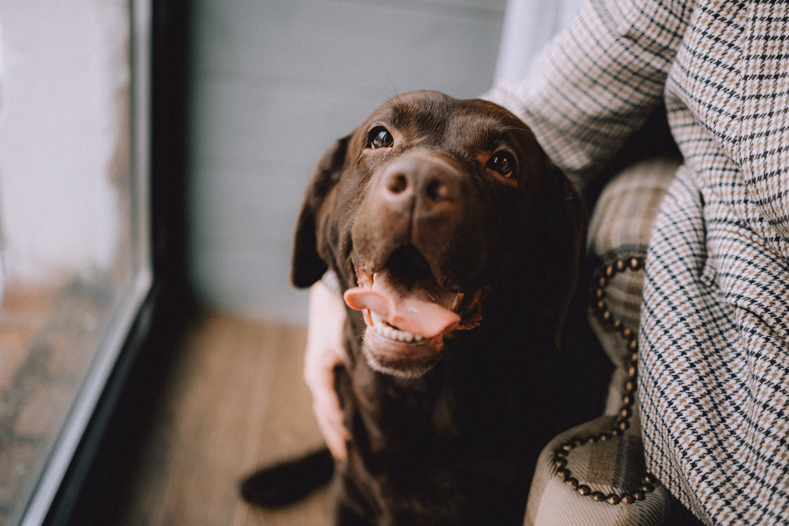 Ума, Берта и их семья