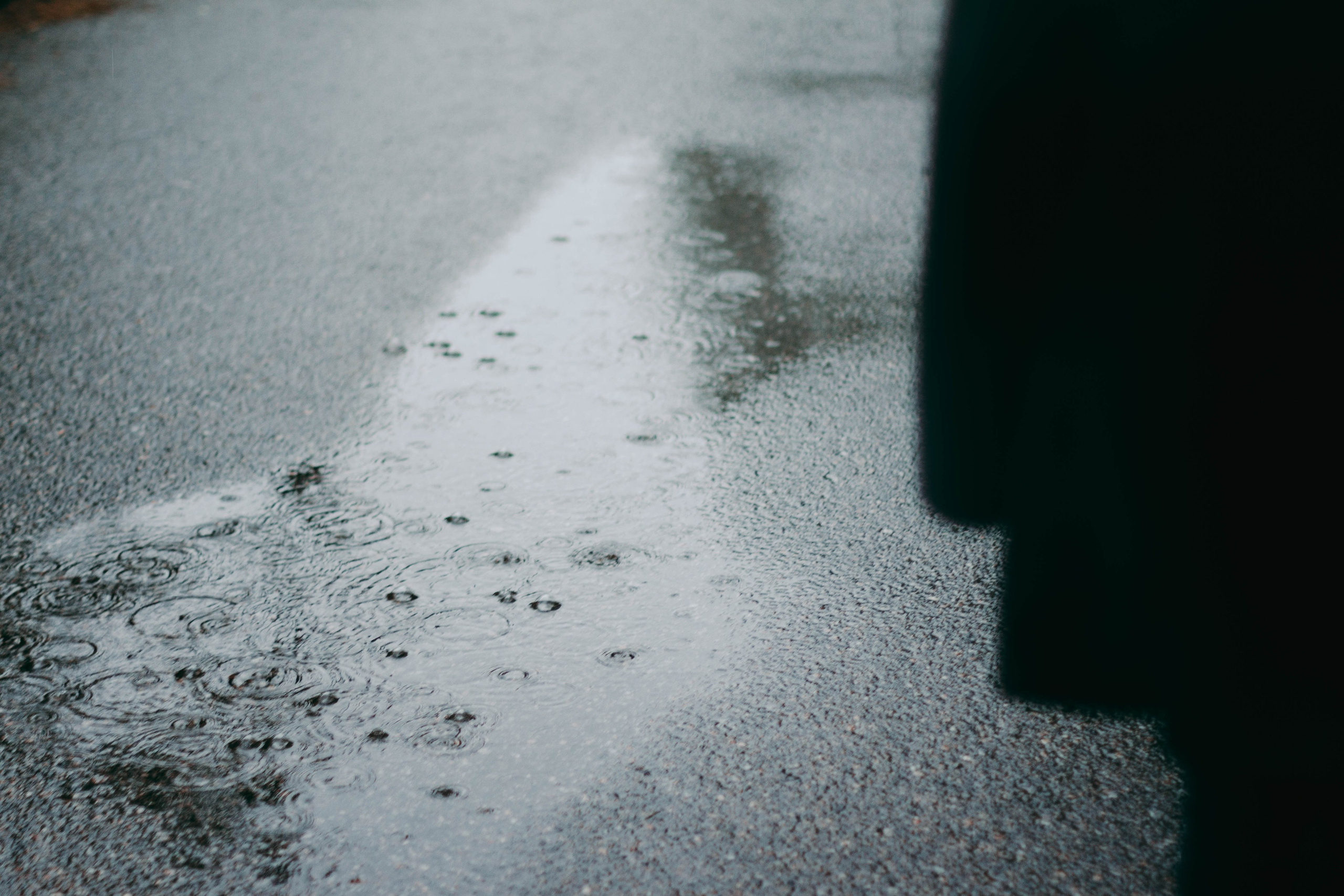 Аня и Павел. Свадебный фотограф в Санкт-Петербурге Рина Евтеева