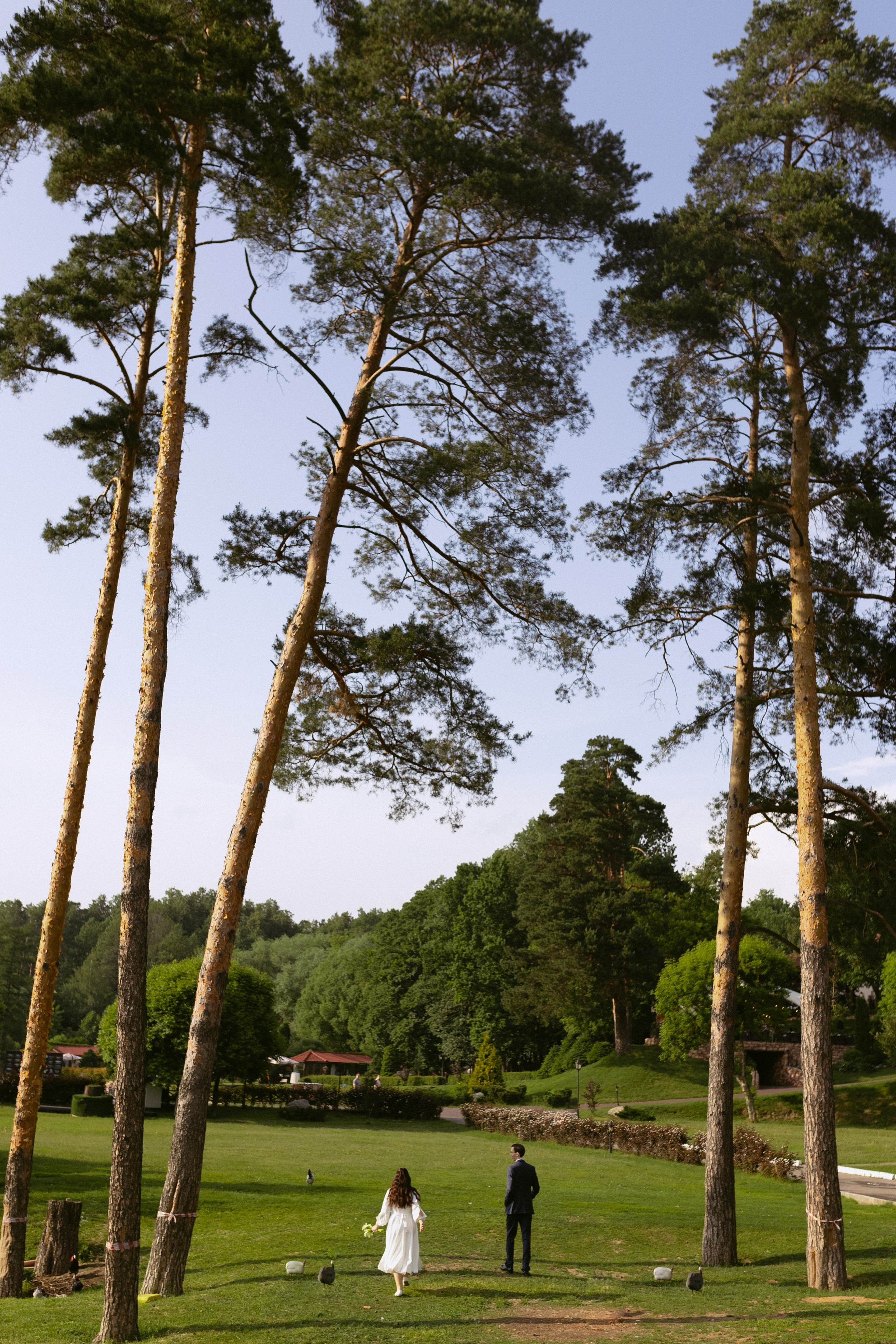 Свадьба в загородном клубе Завидное. Свадебный фотограф в Москве Мария Крош