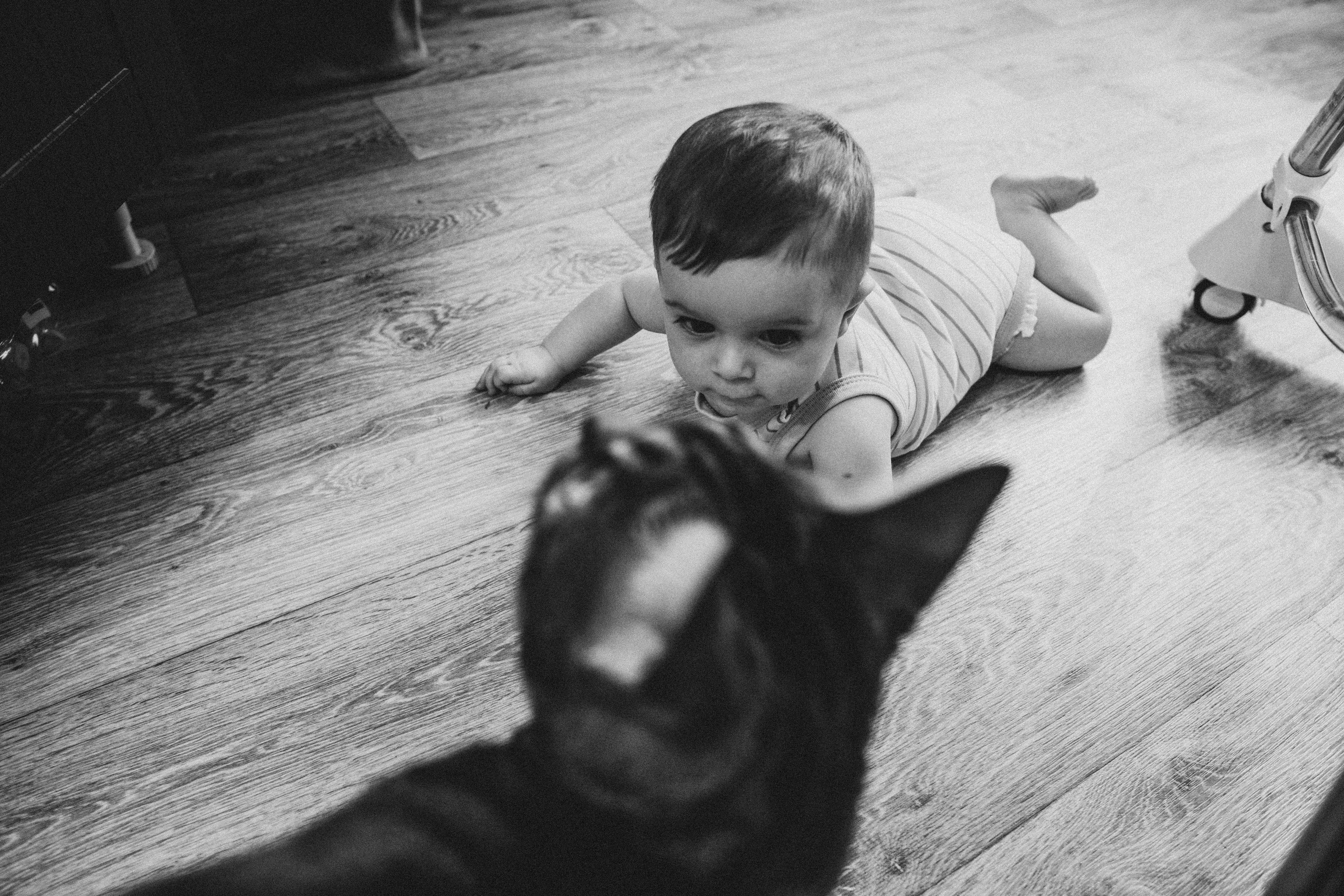 Будни молодой мамы (Алена и Даня). Семейный домашний фотограф в Барнауле Мария Лобастова