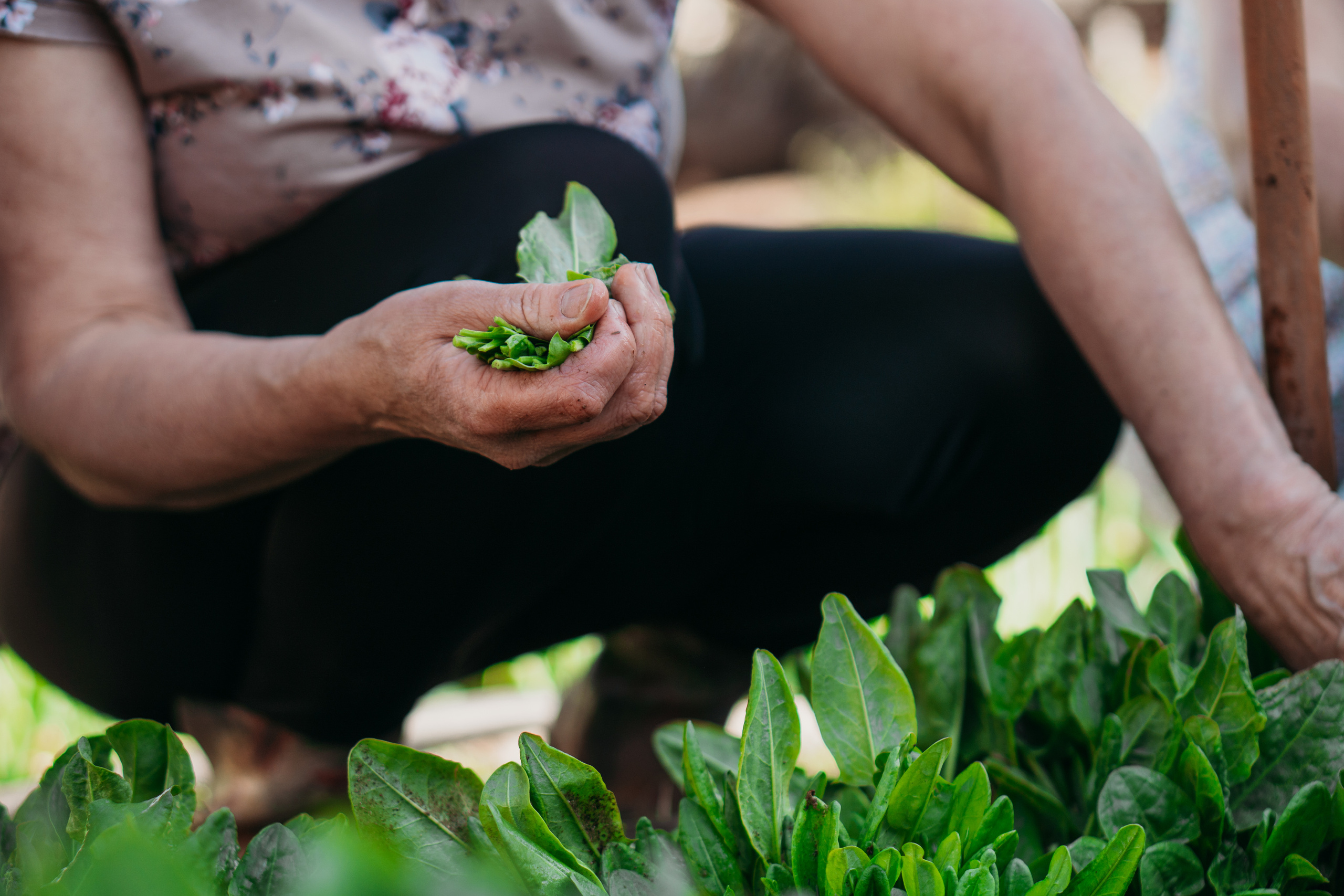 Взрослые дети и родители (Лена и ее семья). Семейный домашний фотограф в Барнауле Мария Лобастова
