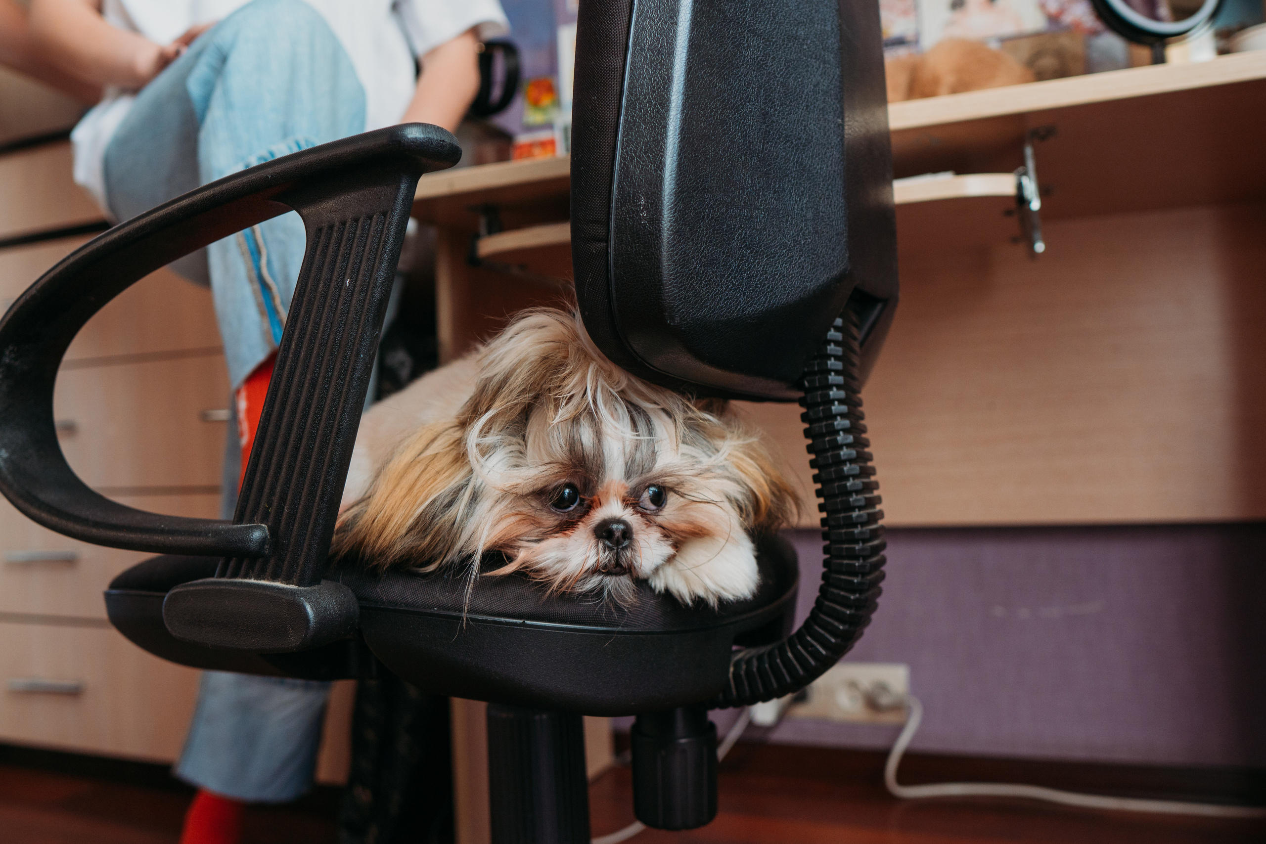 Большая семья с подростками и особенным ребенком (Ольга и ее дети). Семейный домашний фотограф в Барнауле Мария Лобастова