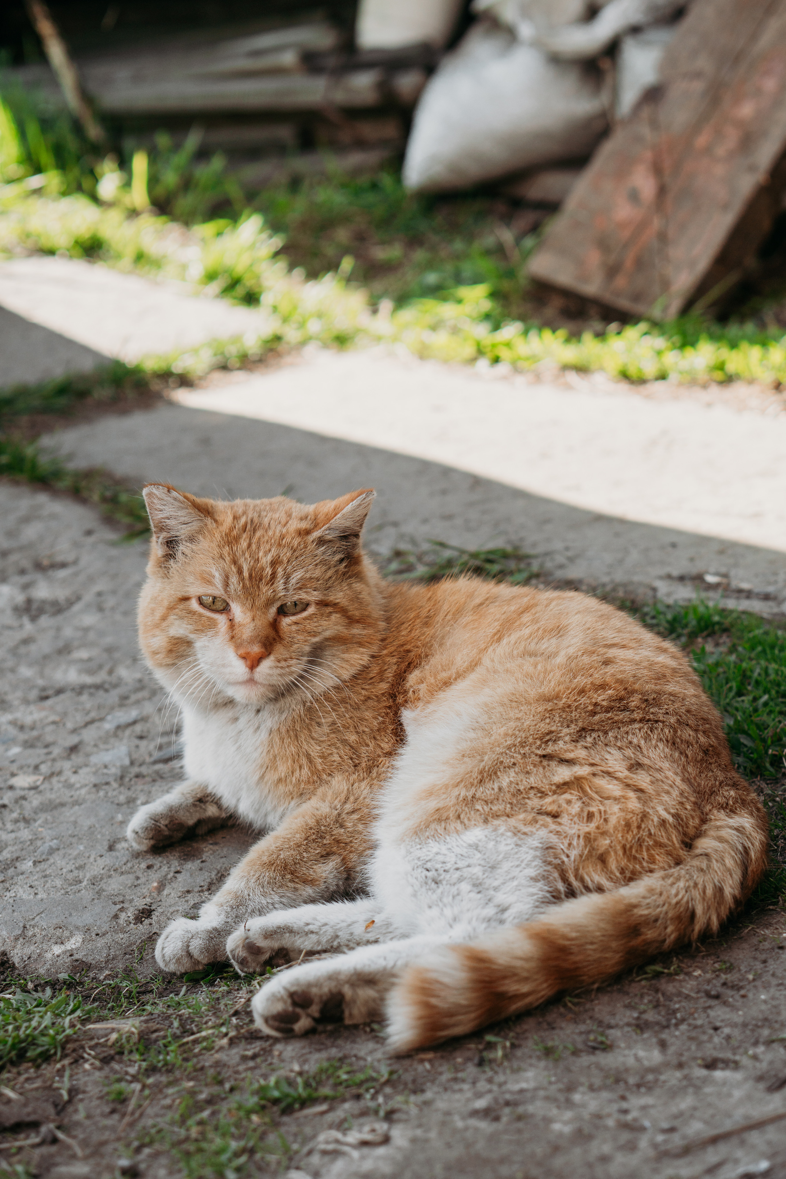 Взрослые дети и родители (Лена и ее семья). Семейный домашний фотограф в Барнауле Мария Лобастова