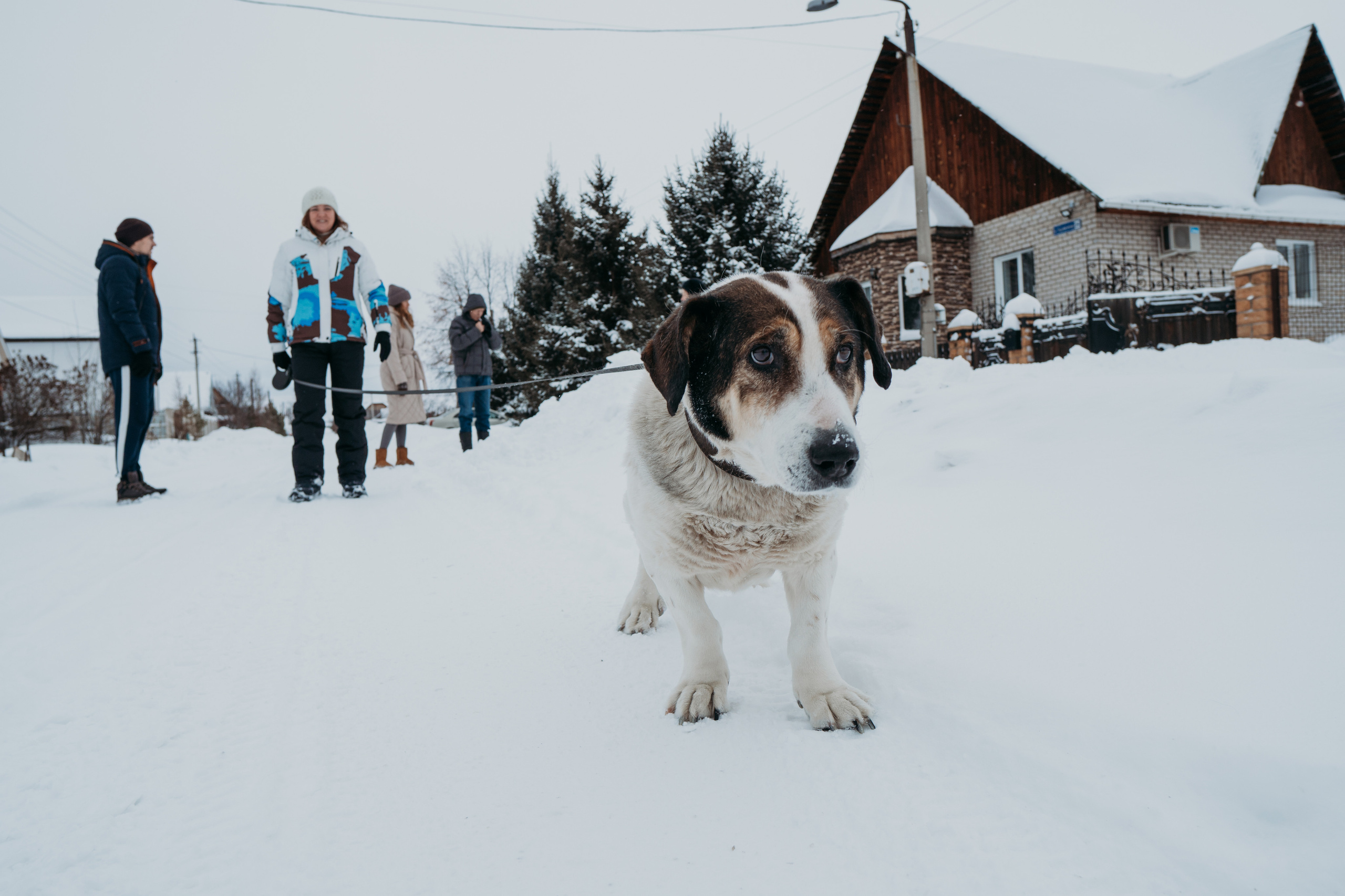 В отпуск к родителям (Новогодняя история для Ангелины). Семейный домашний фотограф в Барнауле Мария Лобастова