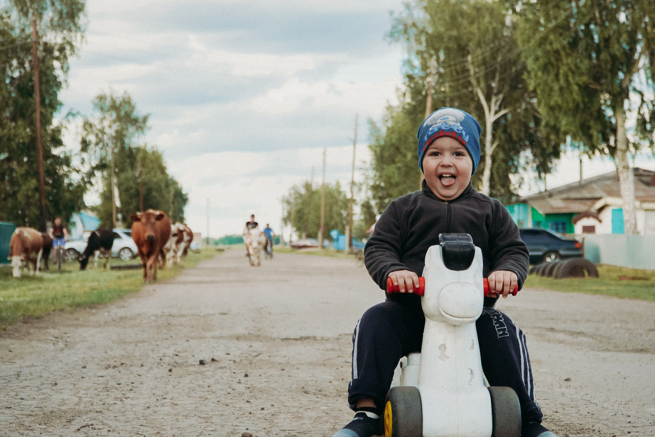 Деревенская история (внуки на каникулах). Семейный домашний фотограф в Барнауле Мария Лобастова