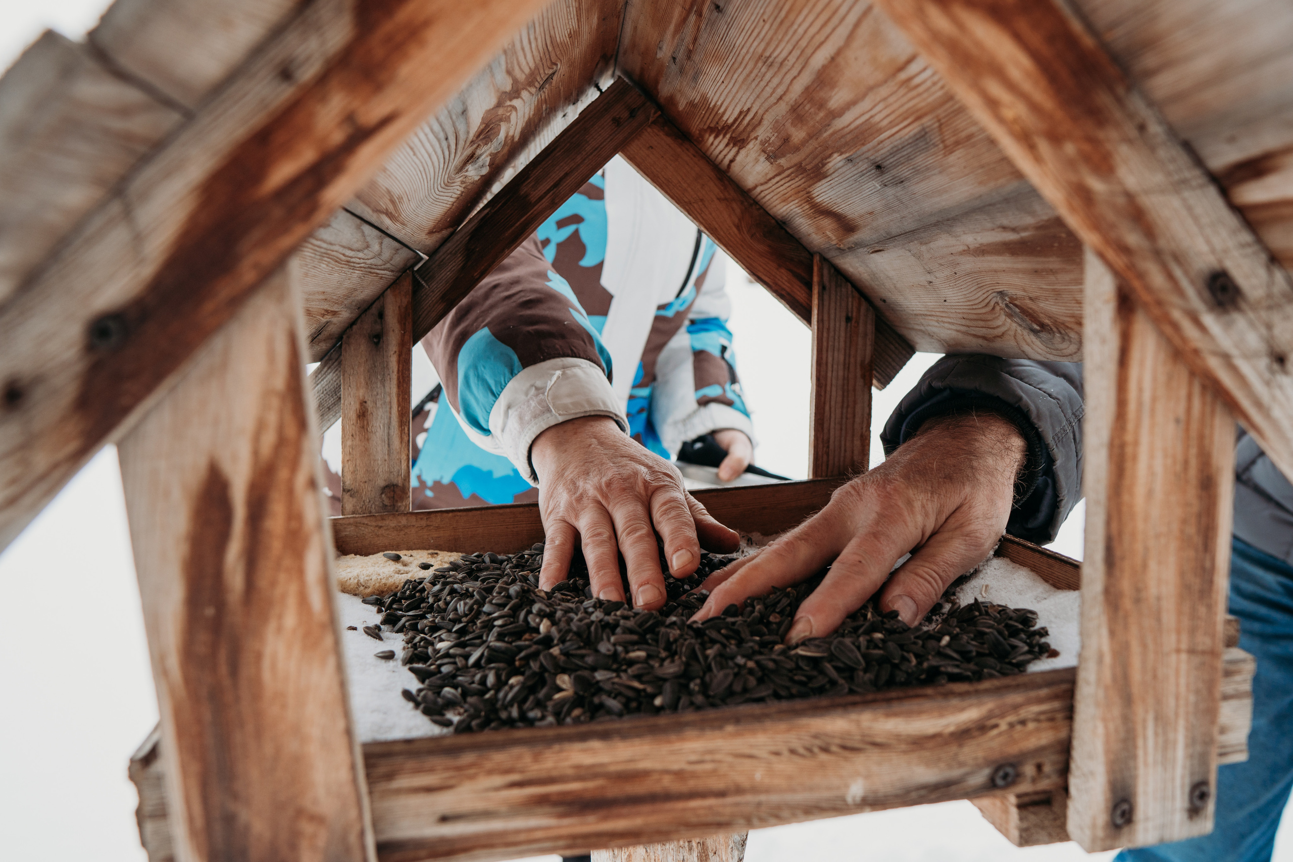 В отпуск к родителям (Новогодняя история для Ангелины). Семейный домашний фотограф в Барнауле Мария Лобастова